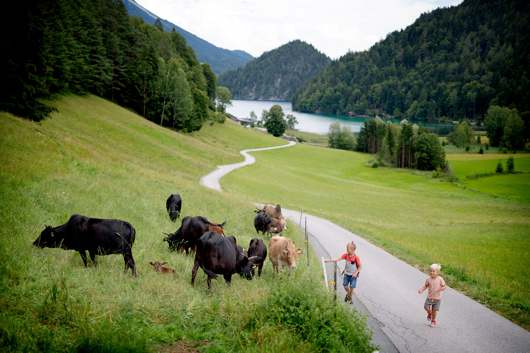 blogg-180807hintersteinersee18.jpg