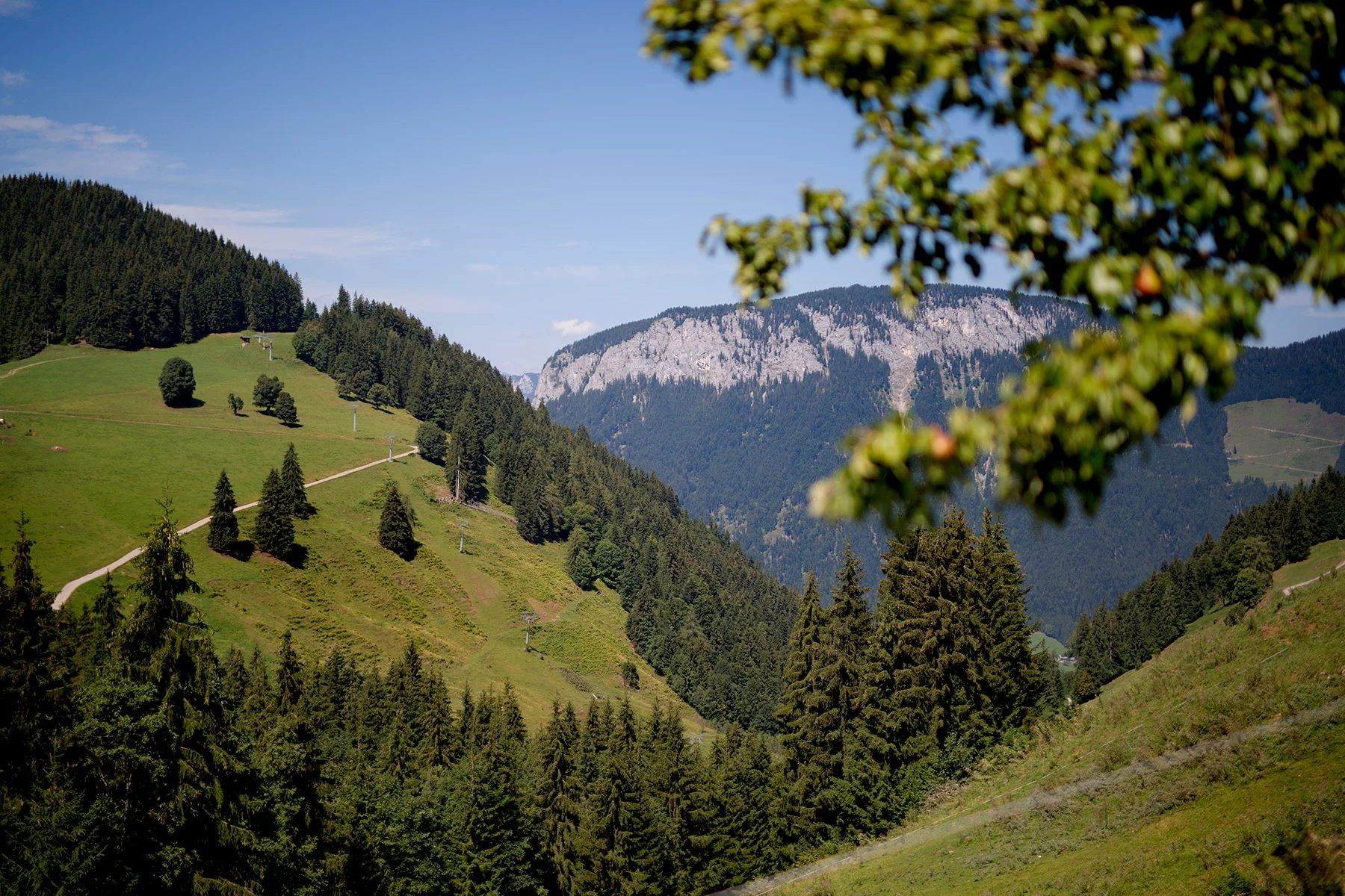 blogg-180809hexenwasser5.jpg