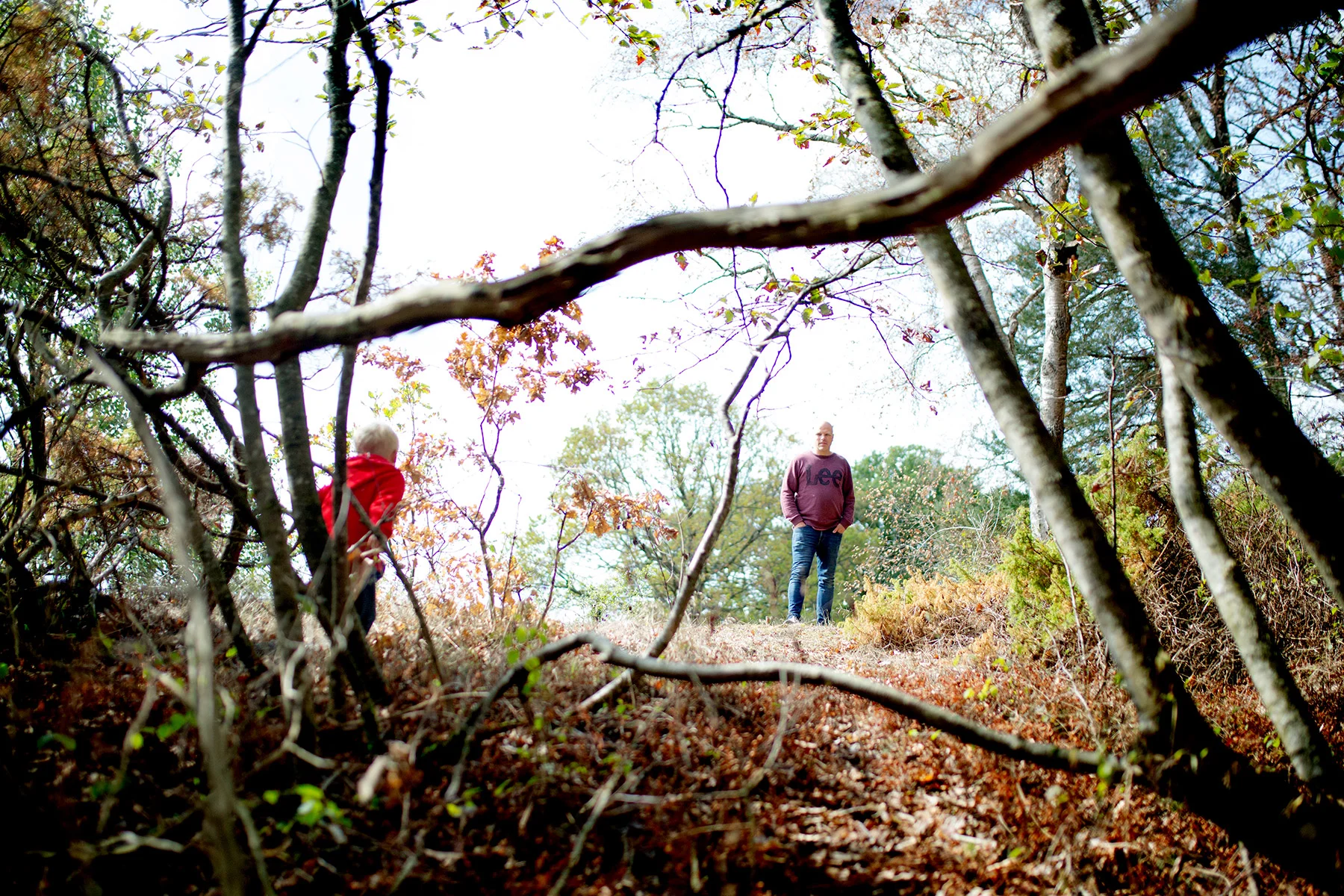 Svamplös skog