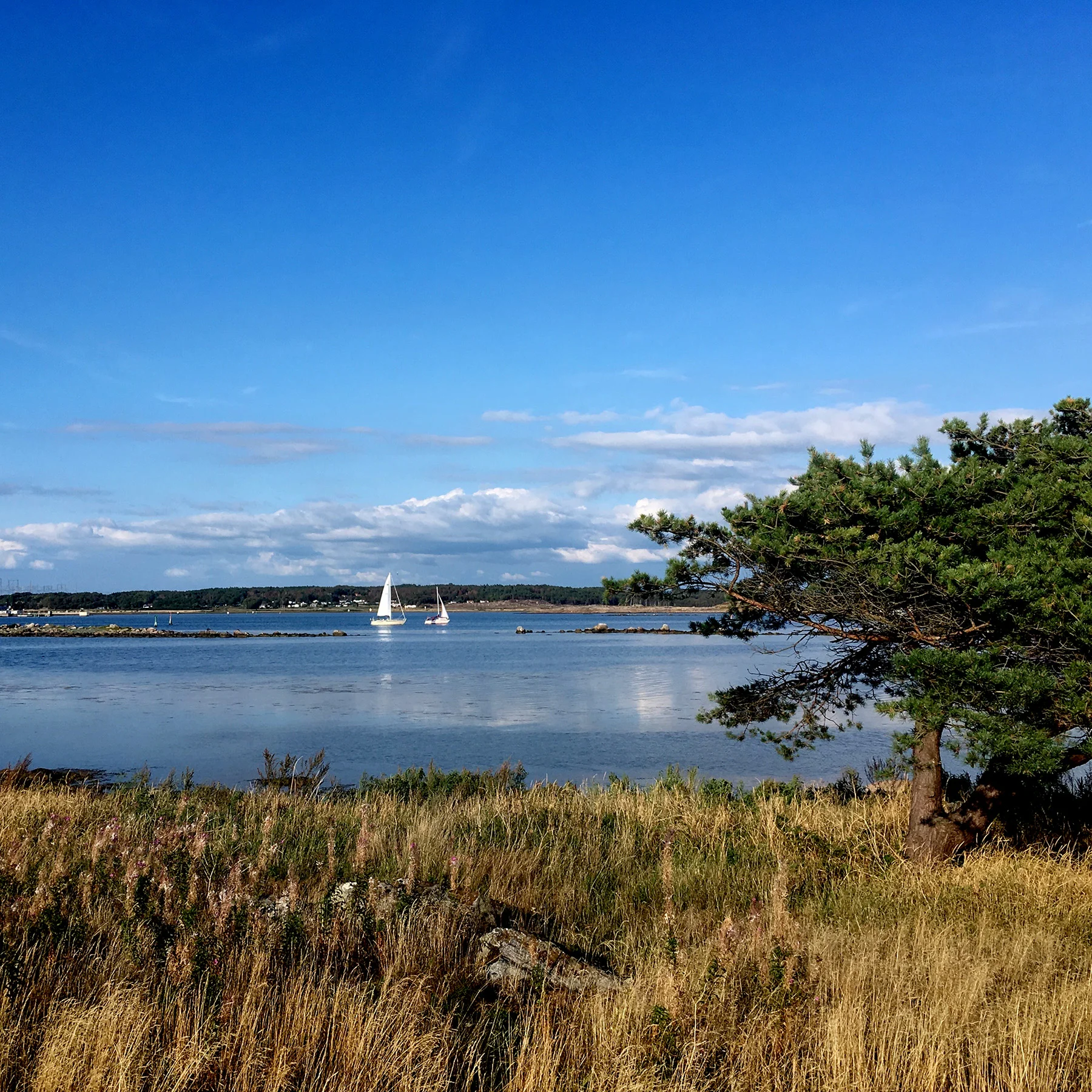 blogg-180902fyrenkvallsdopp9.jpg