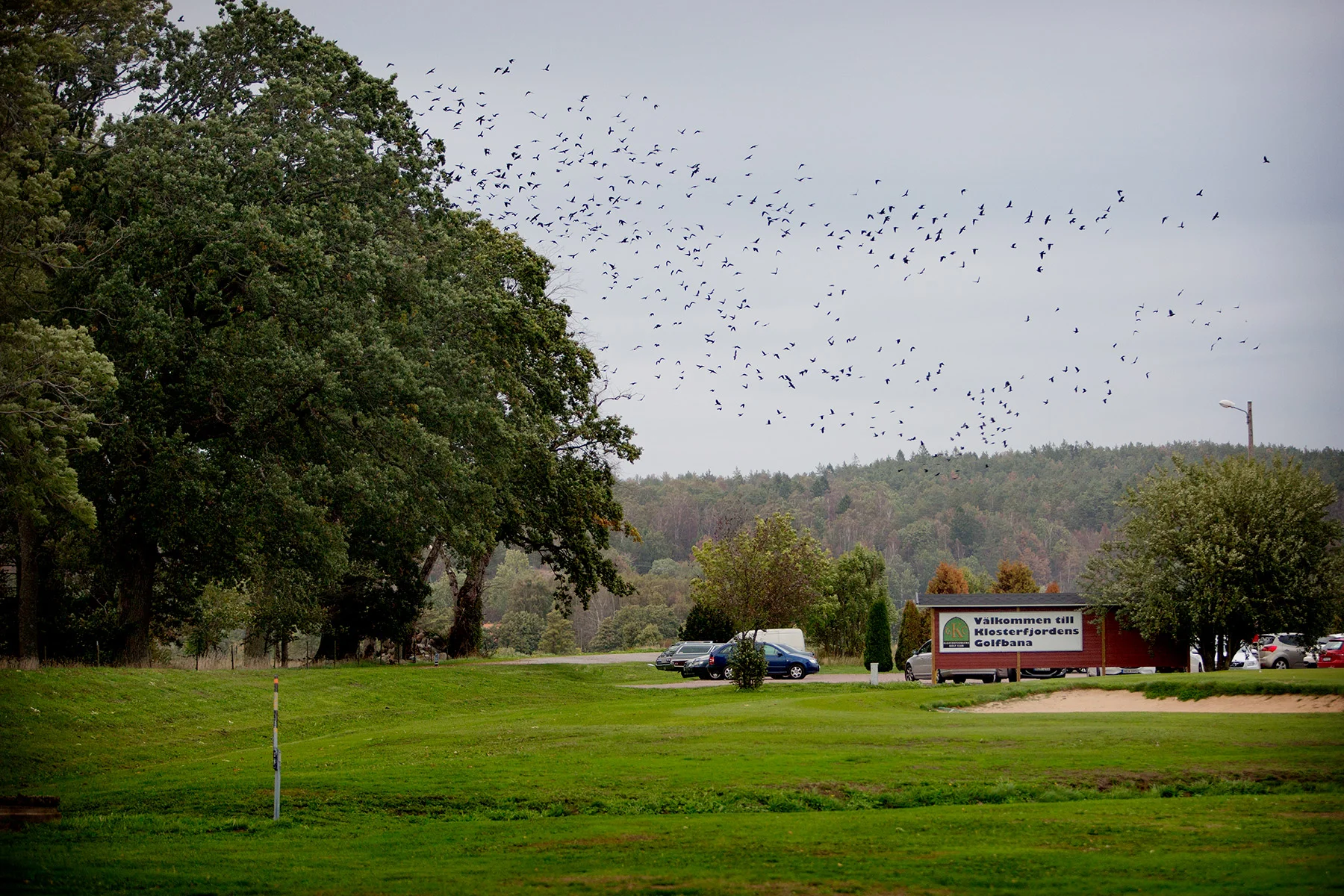 blogg-180919golfaskloster1.jpg