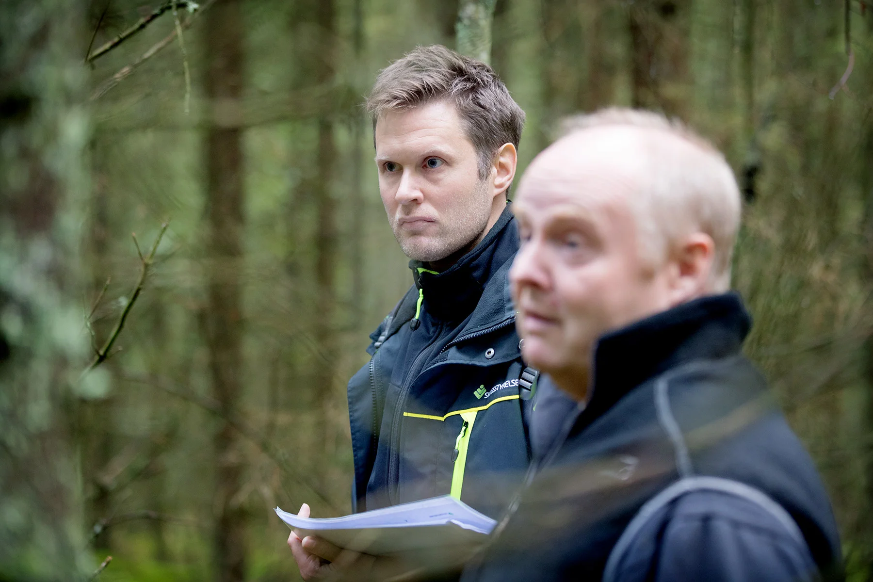 blogg-180921hampedalskogen4.jpg
