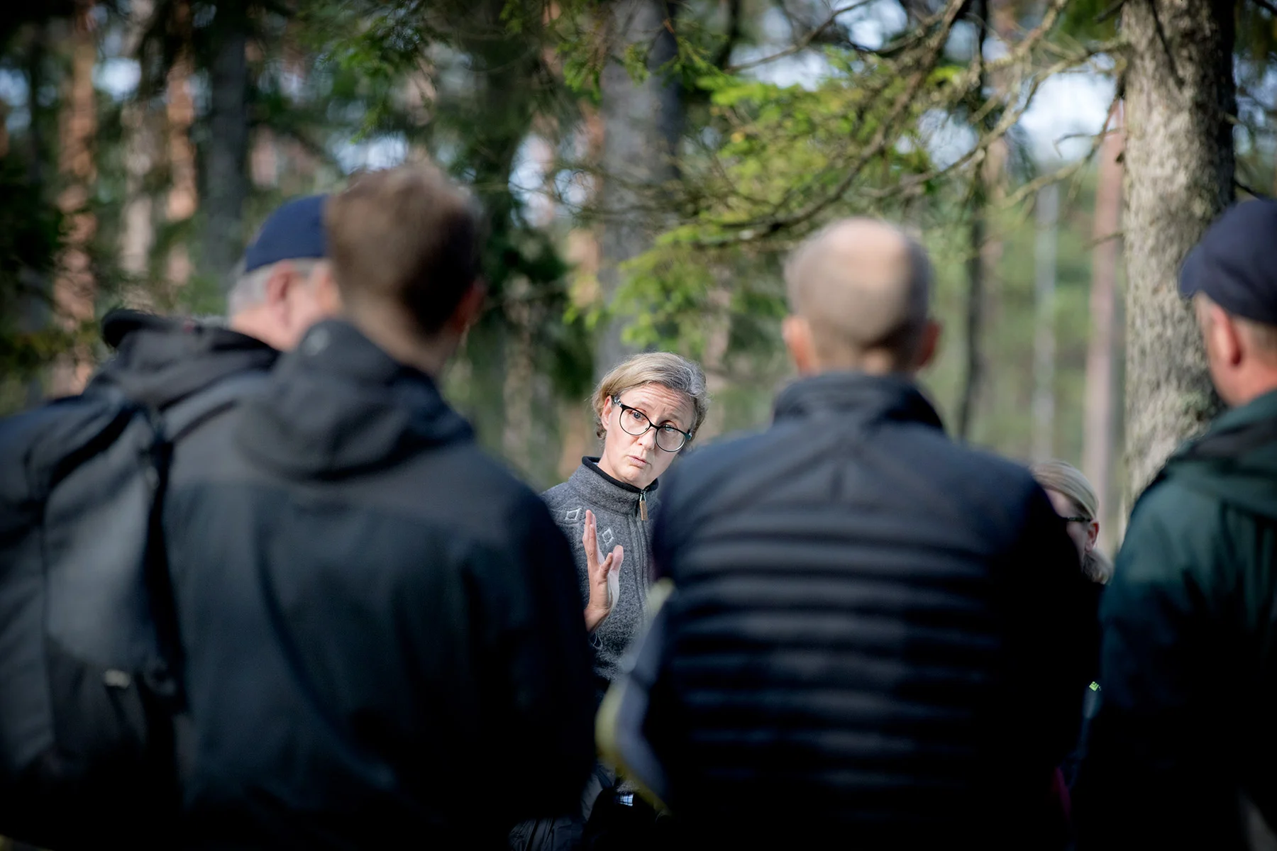 blogg-180921hampedalskogen5.jpg