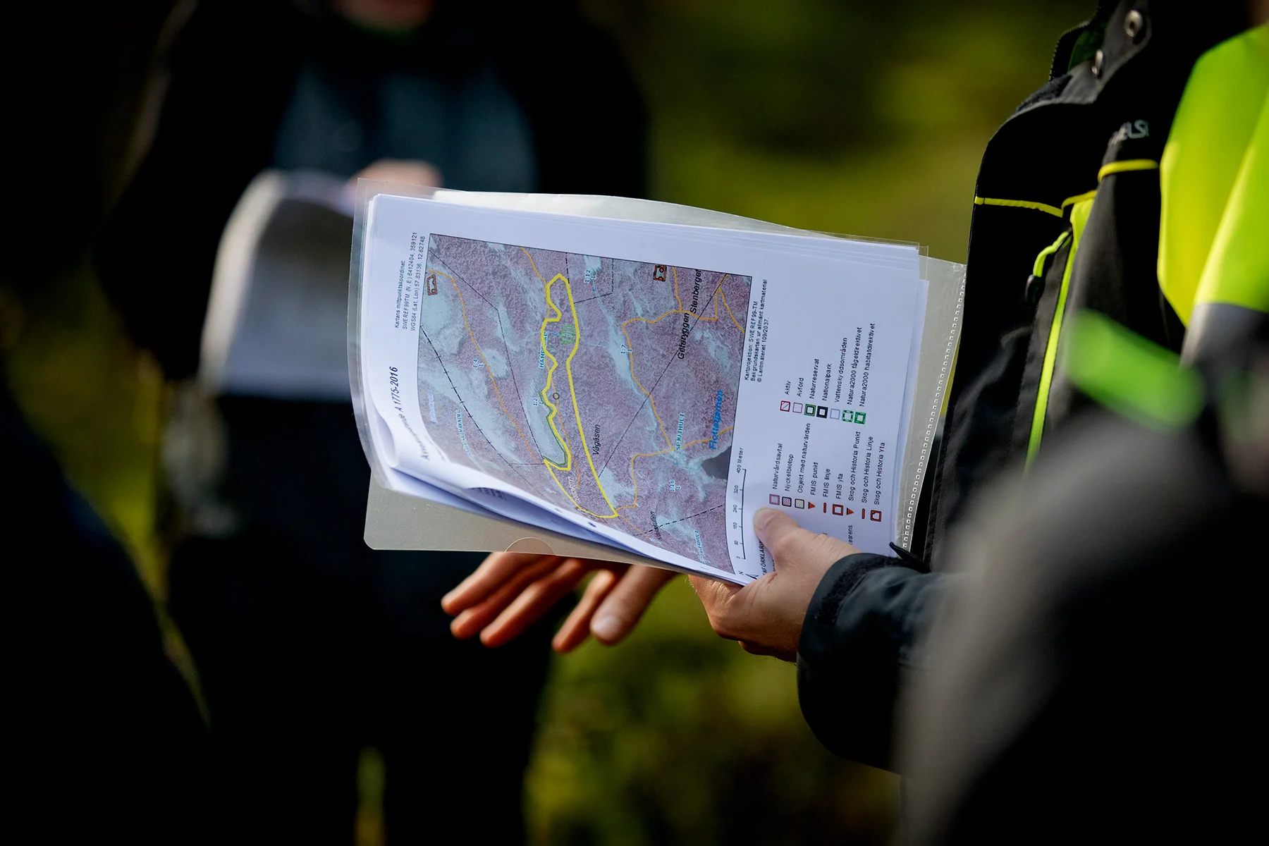 blogg-180921hampedalskogen7.jpg