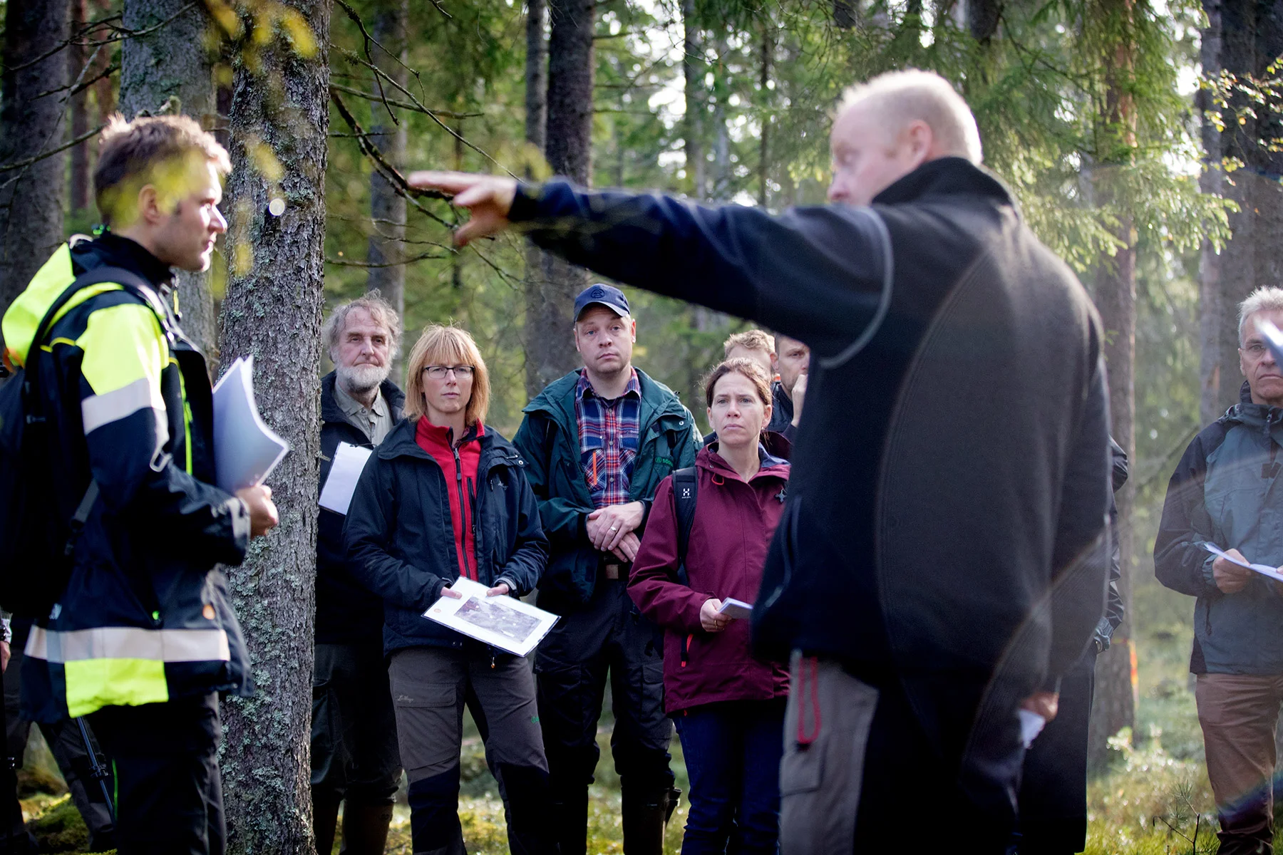blogg-180921hampedalskogen11.jpg