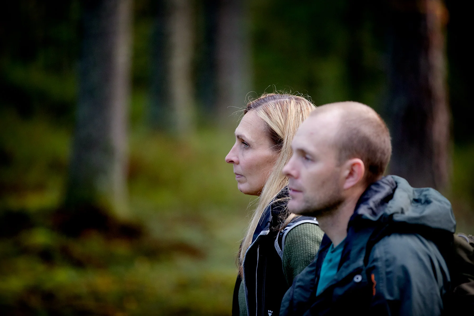 blogg-180921hampedalskogen12.jpg