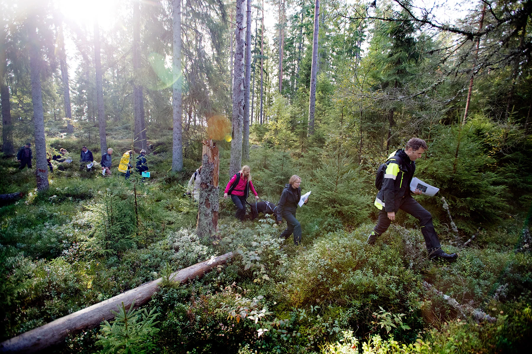 blogg-180921hampedalskogen9.jpg