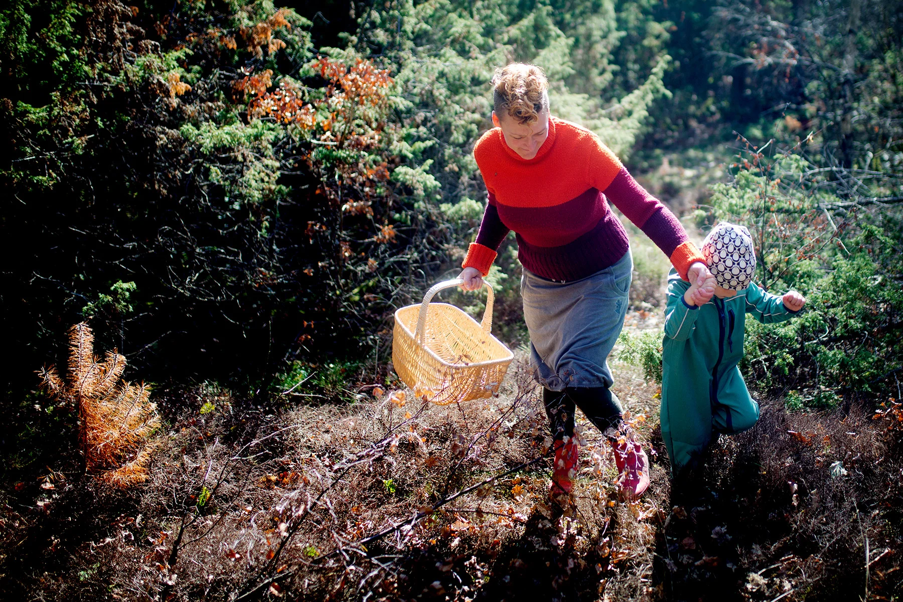 blogg-180923ambjornskogen9.jpg