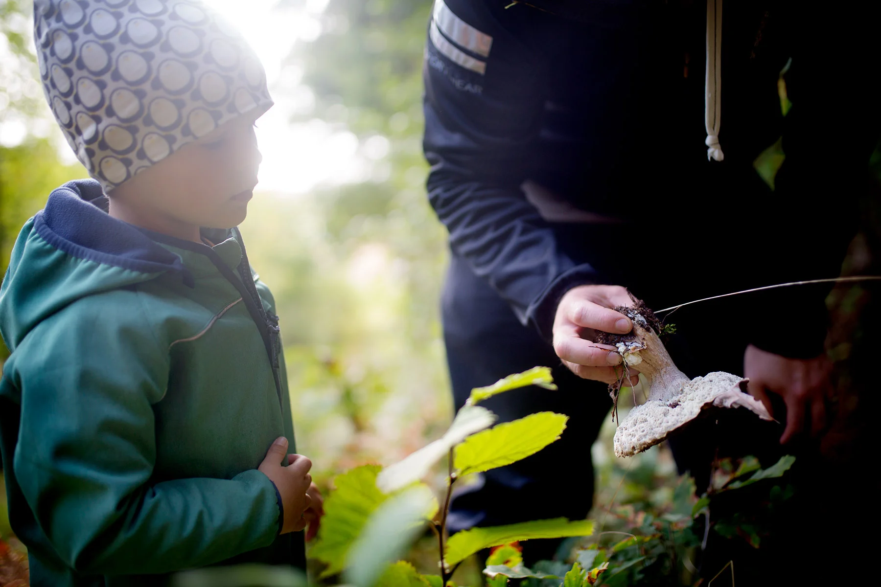 blogg-180923ambjornskogen15.jpg