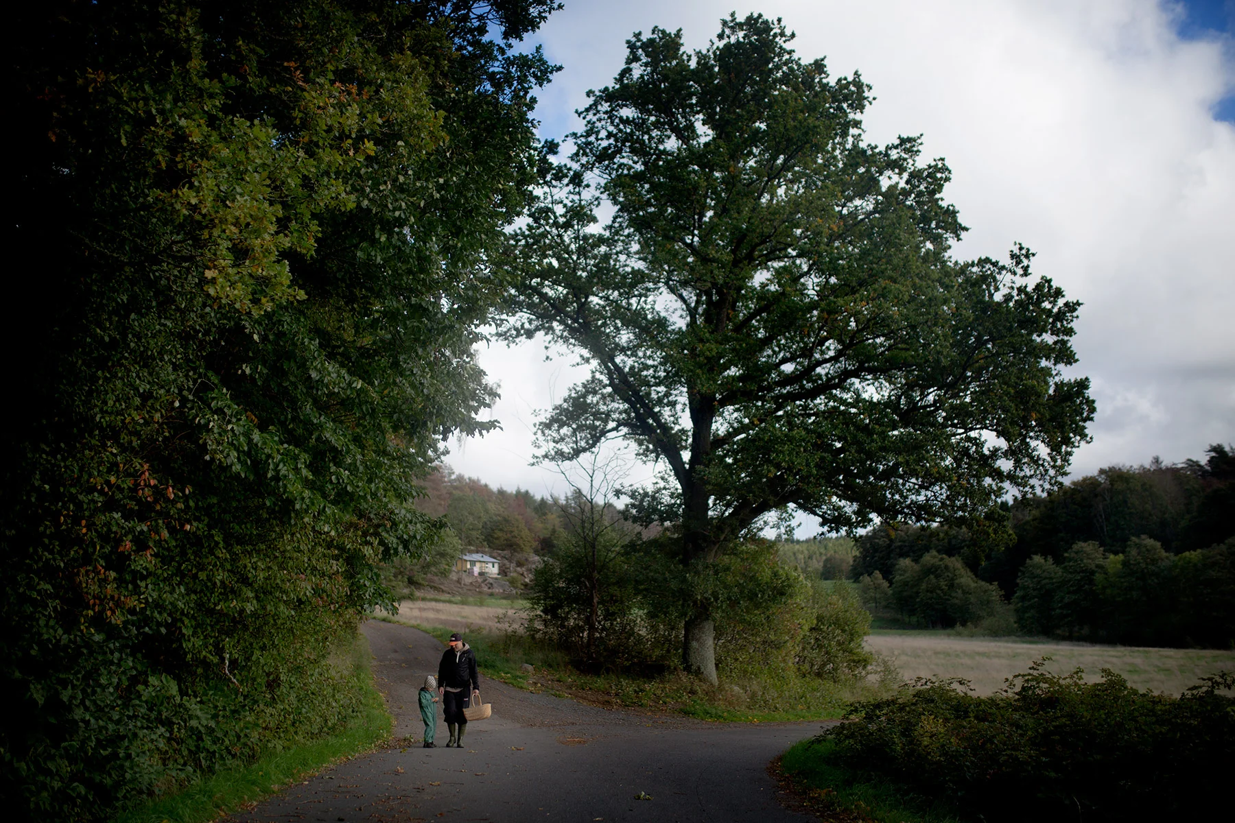 blogg-180923ambjornskogen18.jpg