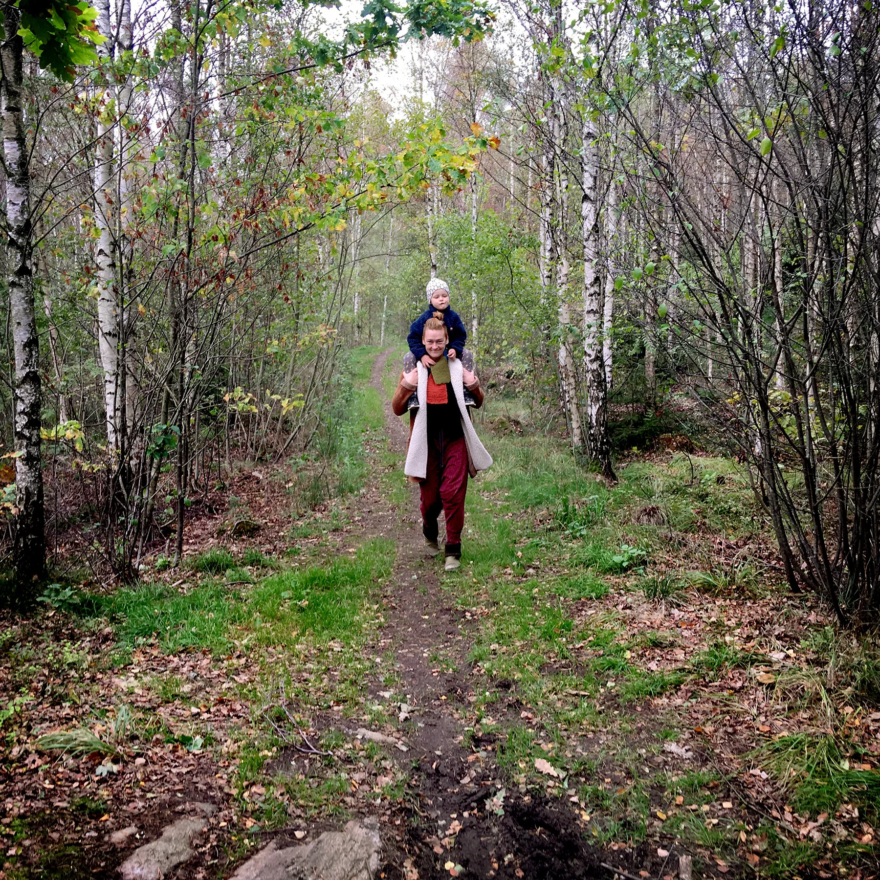 blogg-180930svampskog4.jpg