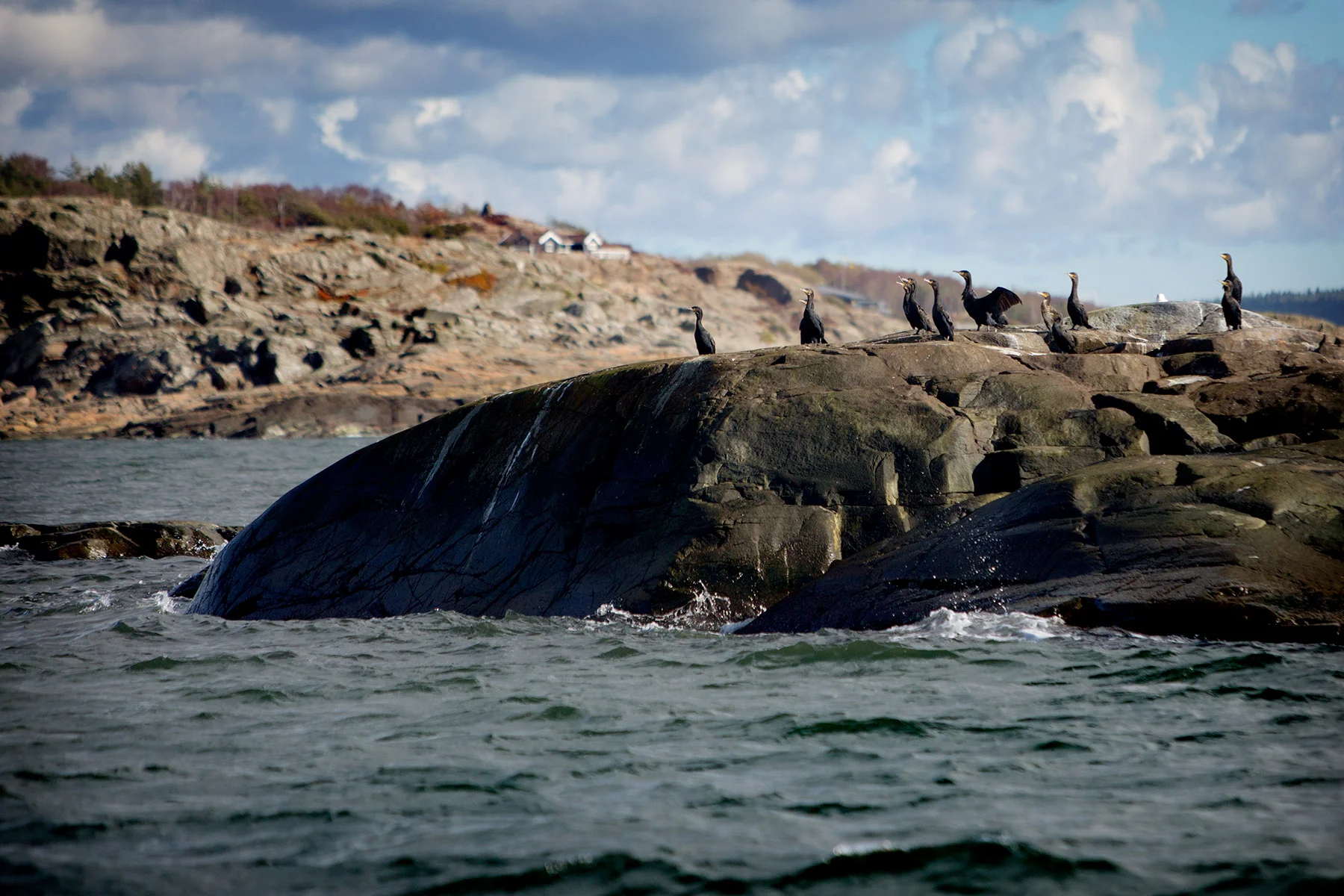 blogg-181007battillsanddamm4.jpg