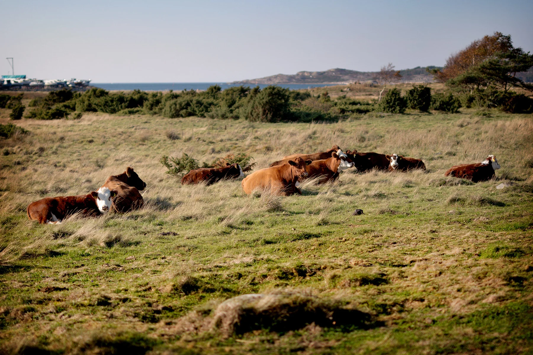 blogg-181014bale1.jpg