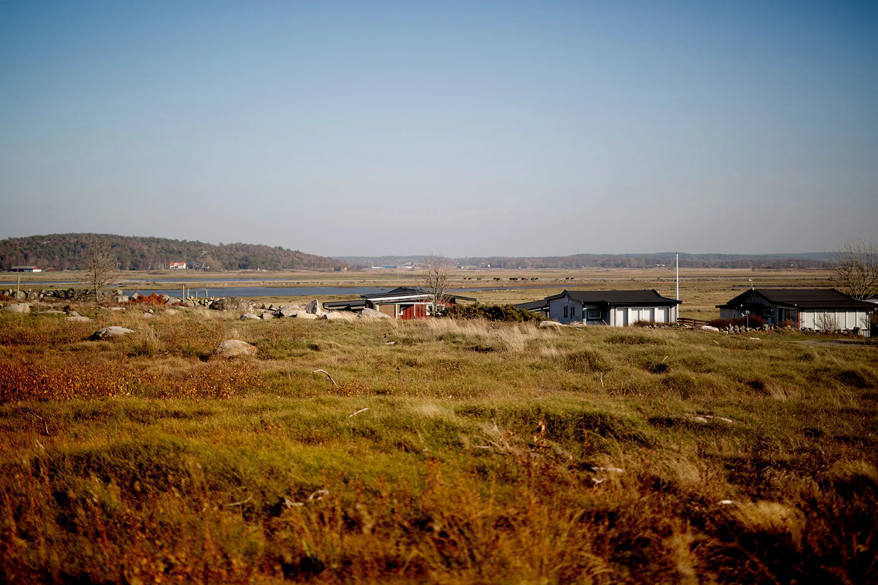blogg-181014bale12.jpg