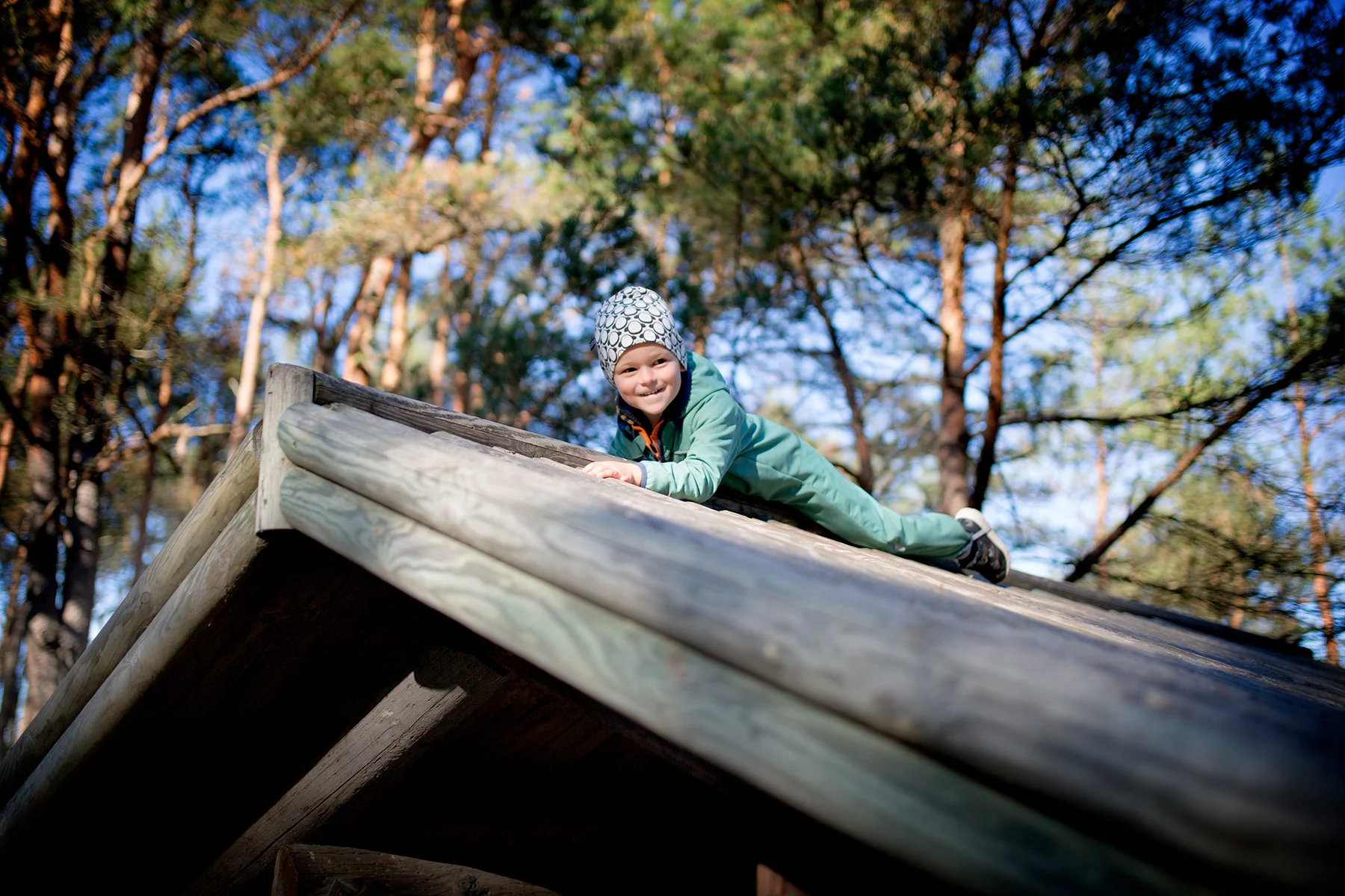blogg-181018skogenmedbertil11.jpg