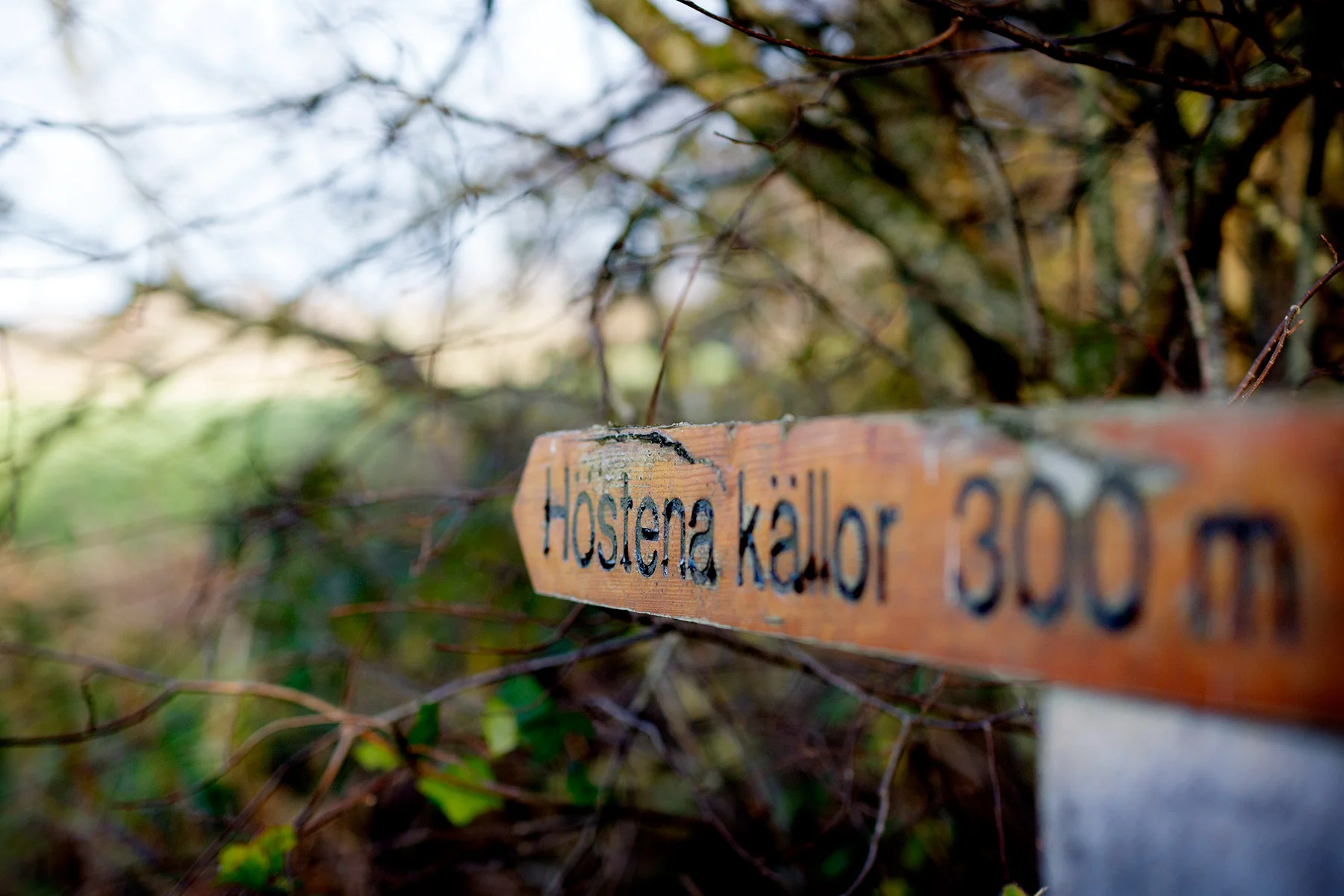 blogg-181031hostena2.jpg