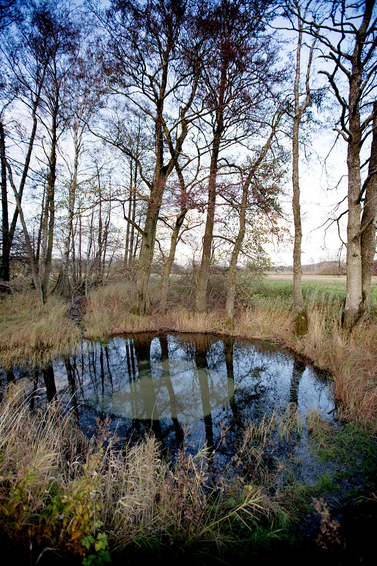 blogg-181031hostena5.jpg