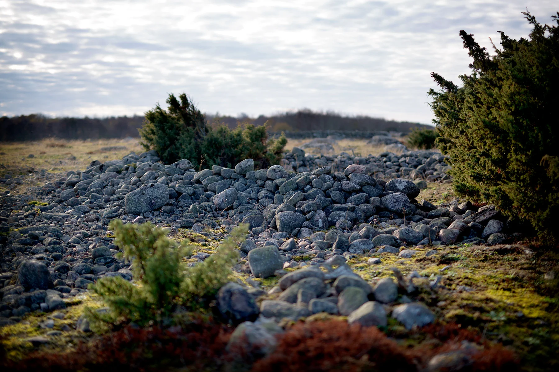 blogg-181104sallebackastavder3.jpg