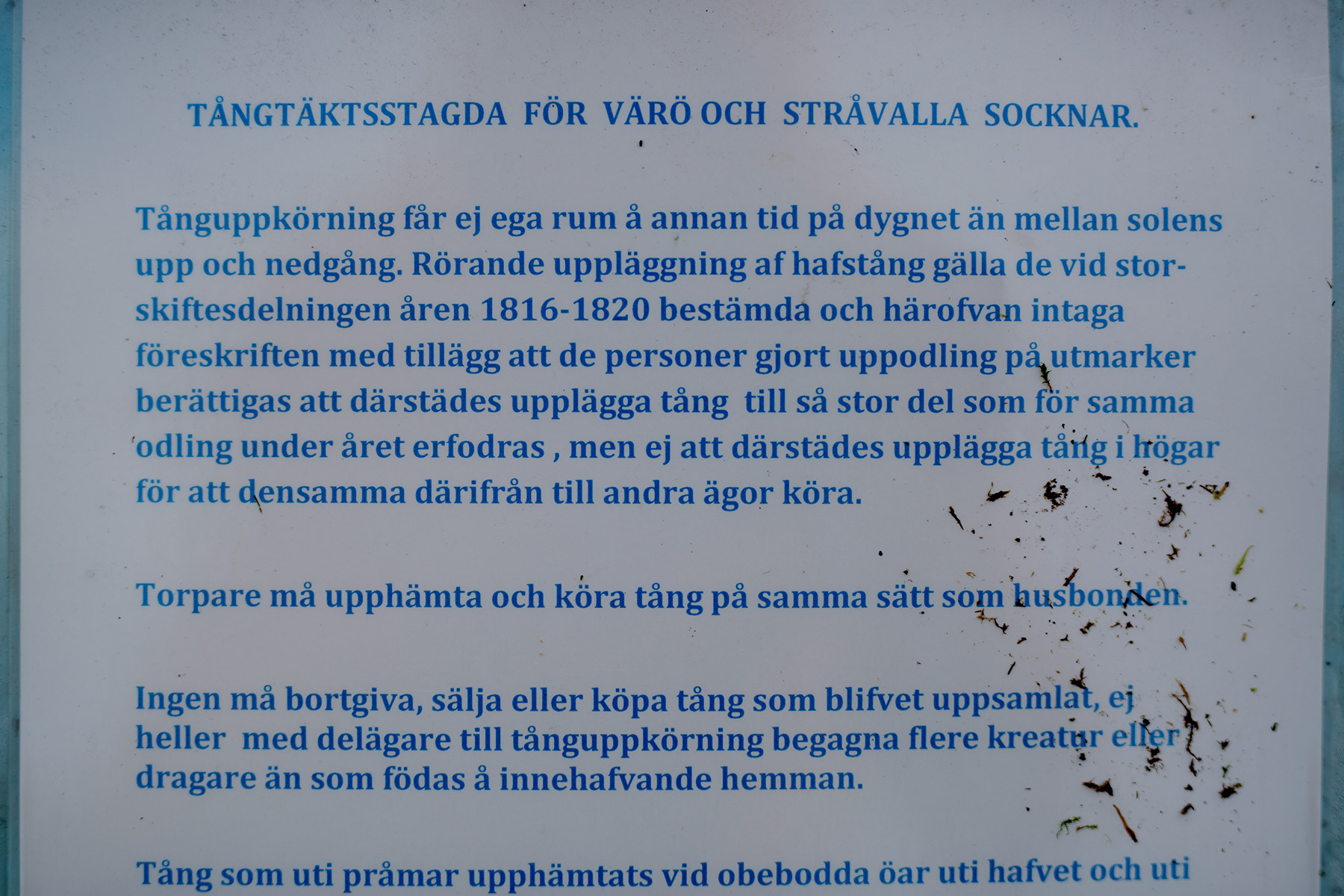 blogg-181104sallebackastavder12.jpg