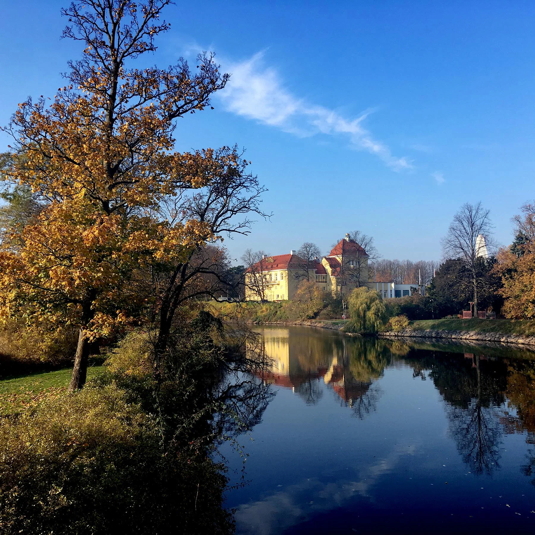 blogg-181107malmoparkhang5.jpg