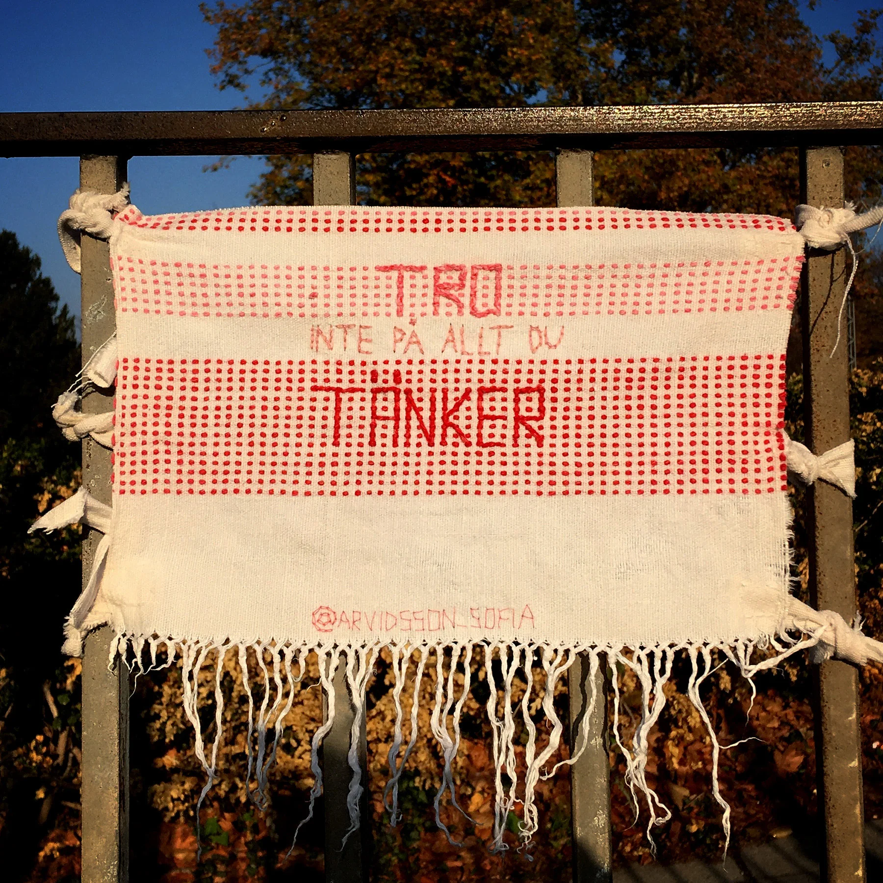 blogg-181107malmoparkhang8.jpg
