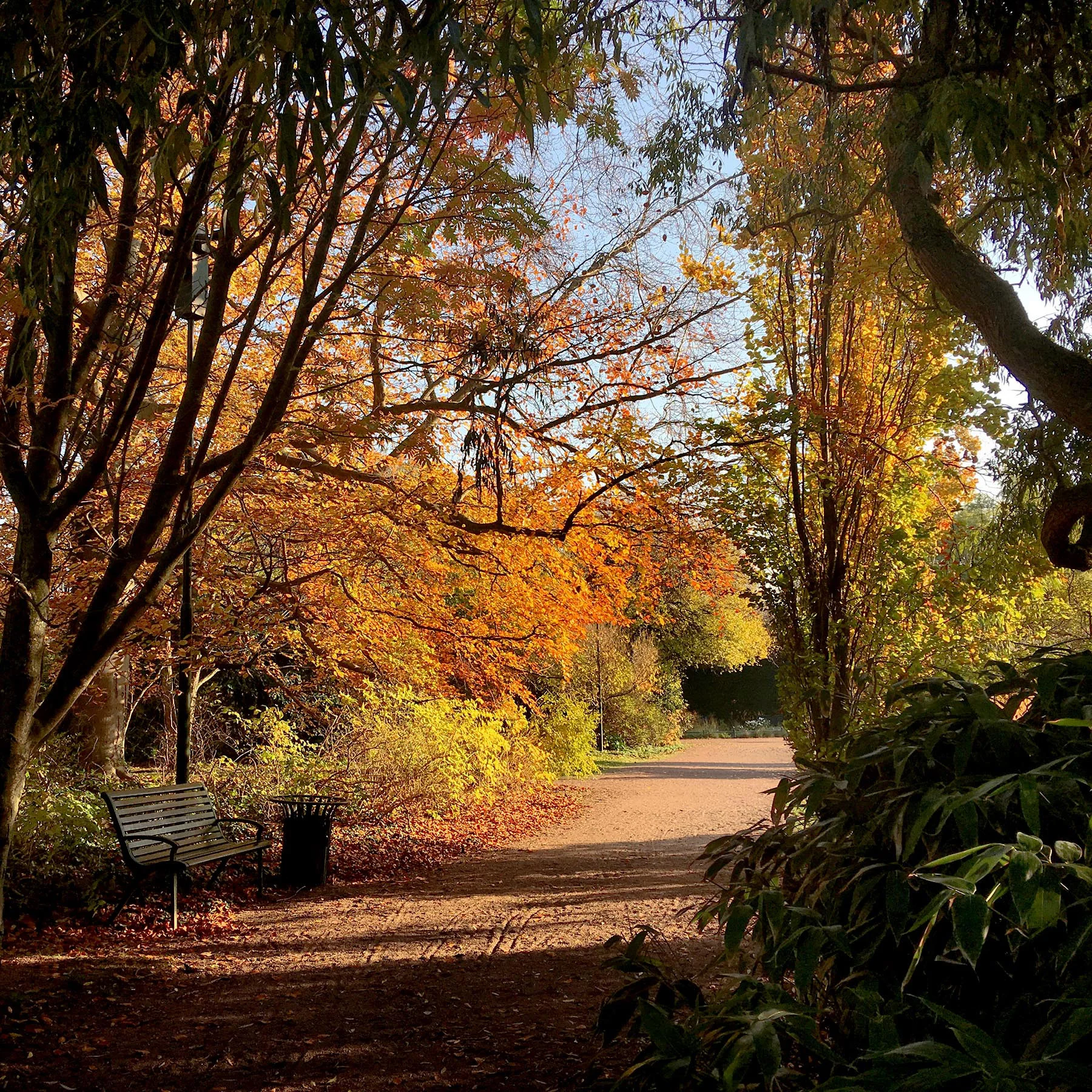 blogg-181107malmoparkhang12.jpg