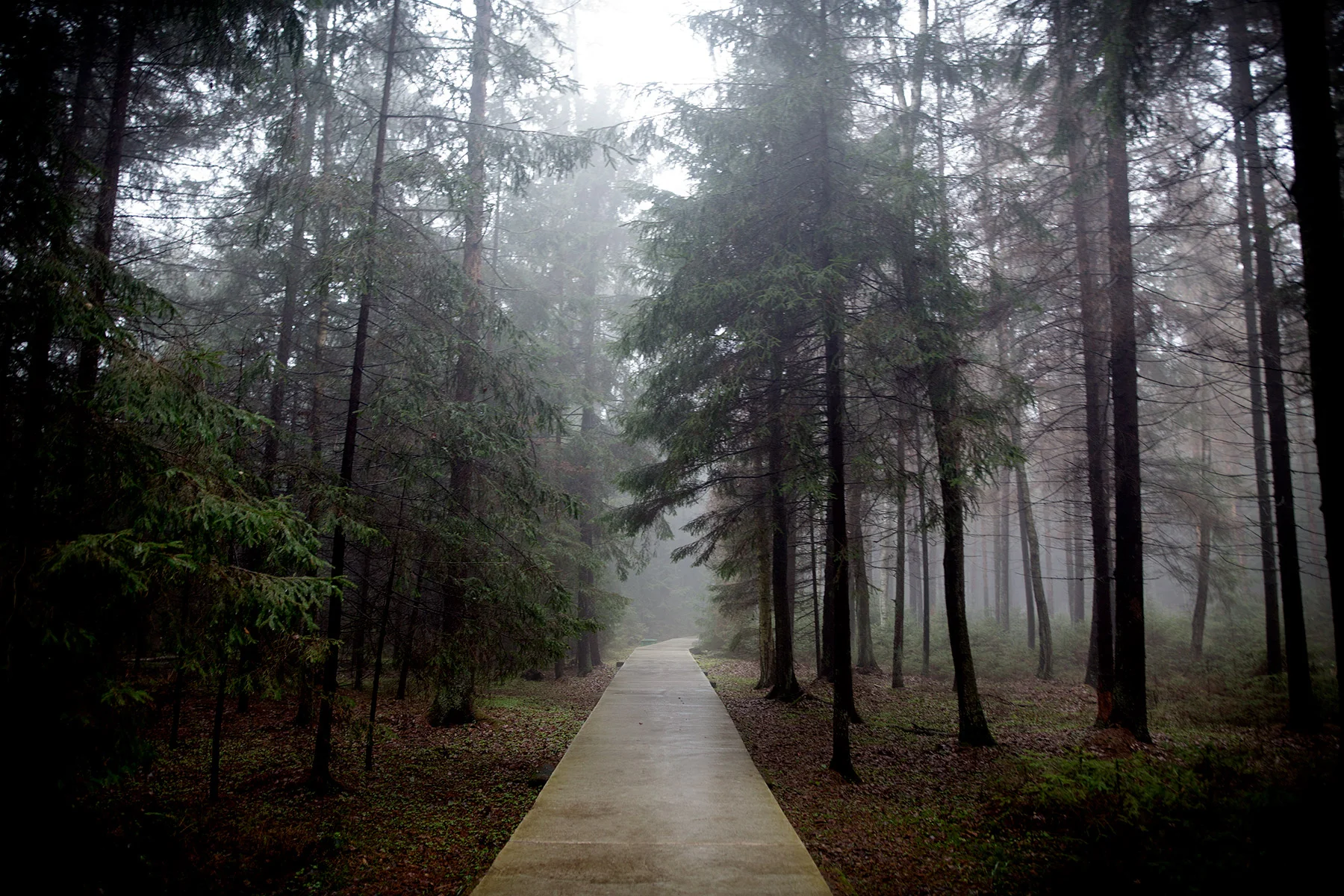 blogg-181204grutaspark23.jpg