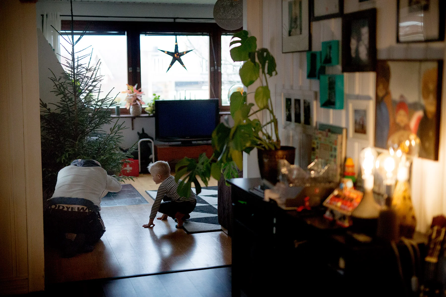 blogg-181216granen1.jpg