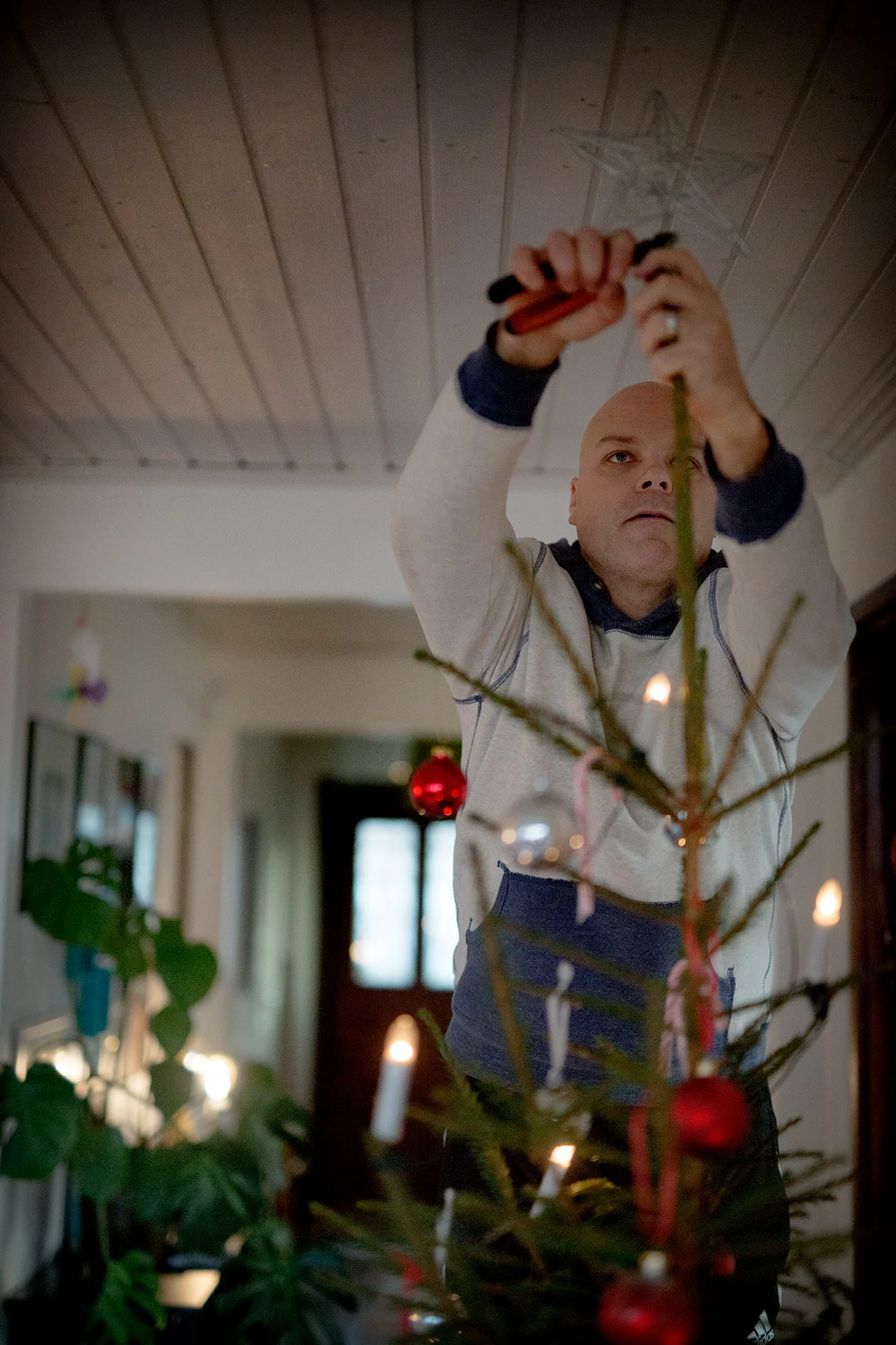 blogg-181216granen14.jpg