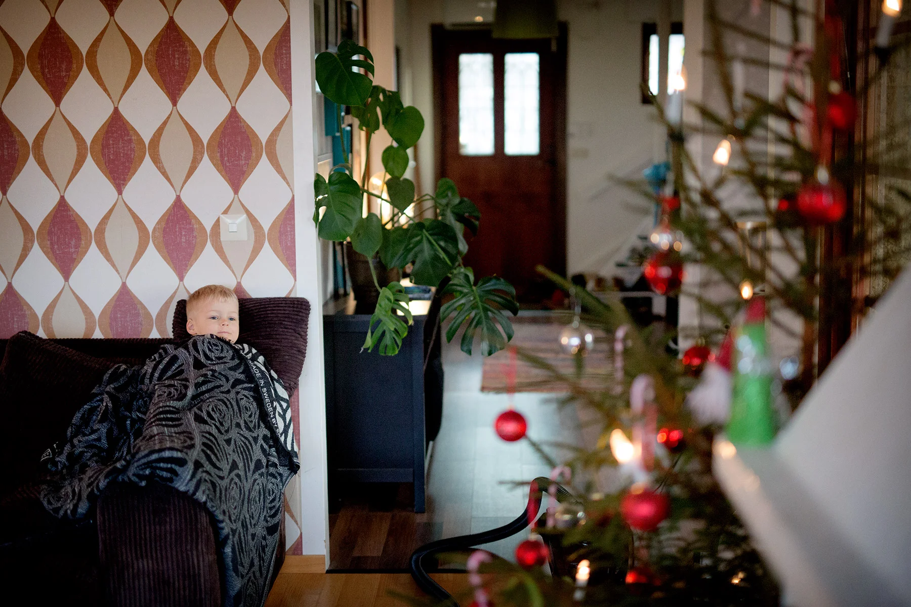 blogg-181216granen16.jpg