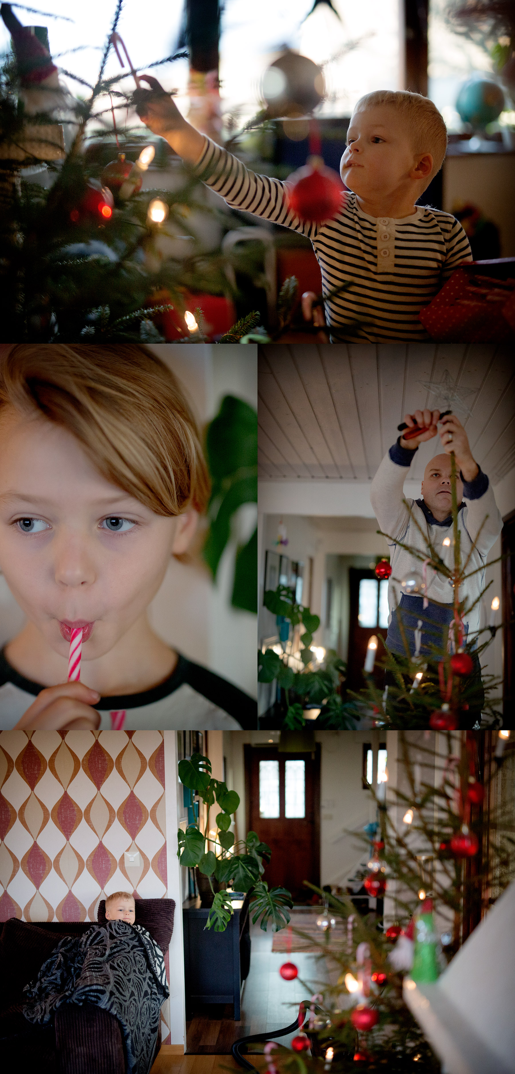 Granen står så grön och grann i stugan
