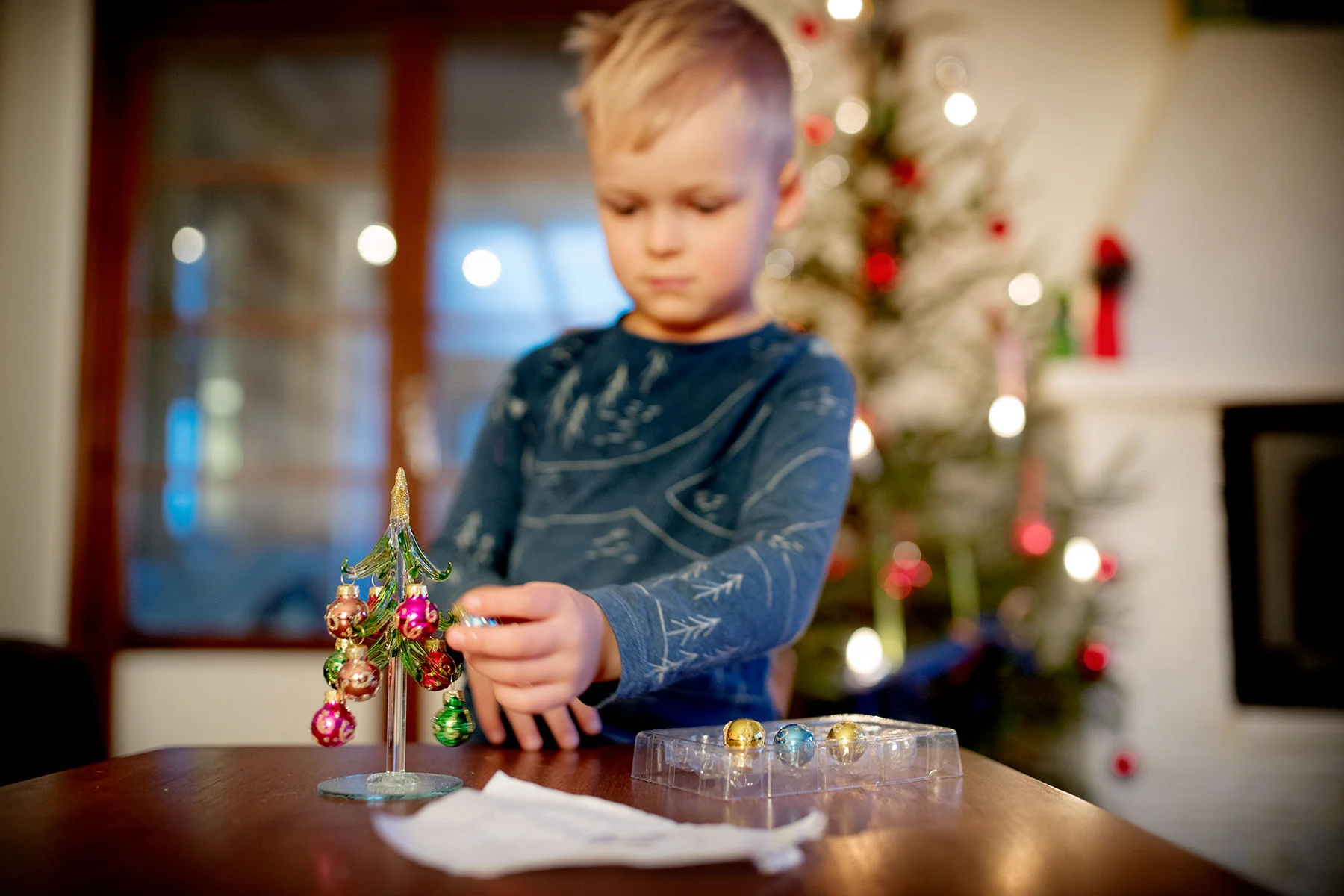 blogg-181221spokoloochglasgranen2.jpg