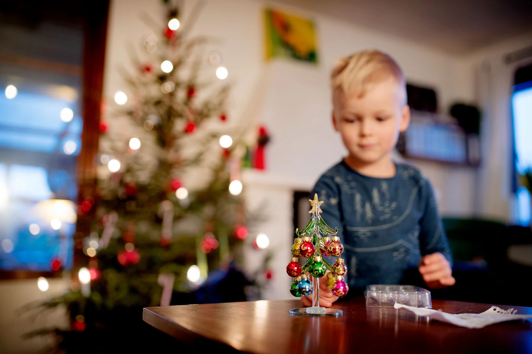 blogg-181221spokoloochglasgranen5.jpg