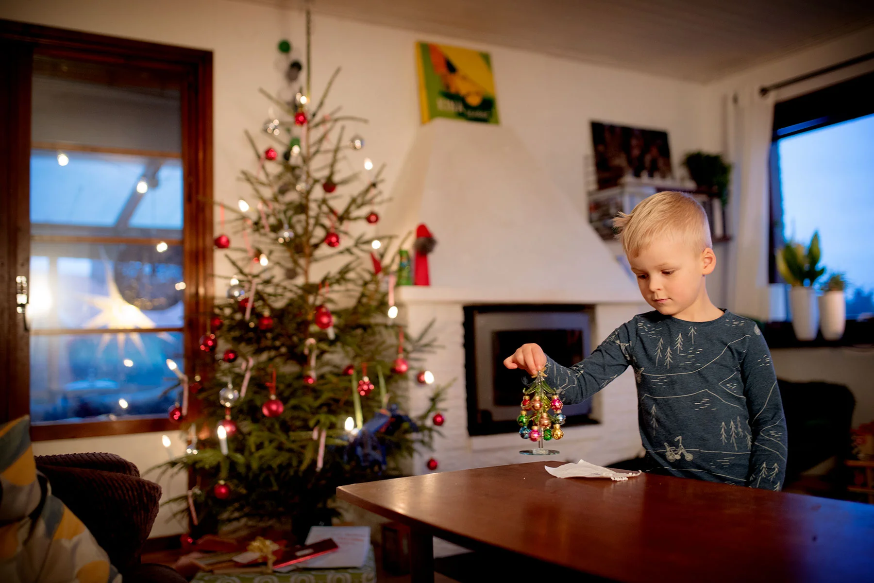 blogg-181221spokoloochglasgranen9.jpg
