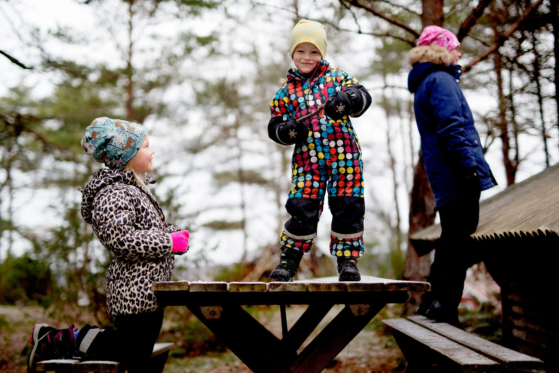 blogg-181223vindskyddet8.jpg