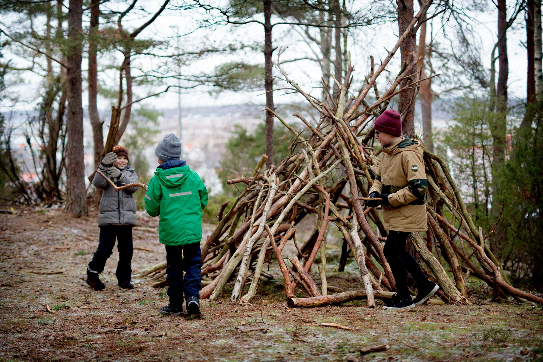 blogg-181223vindskyddet13.jpg