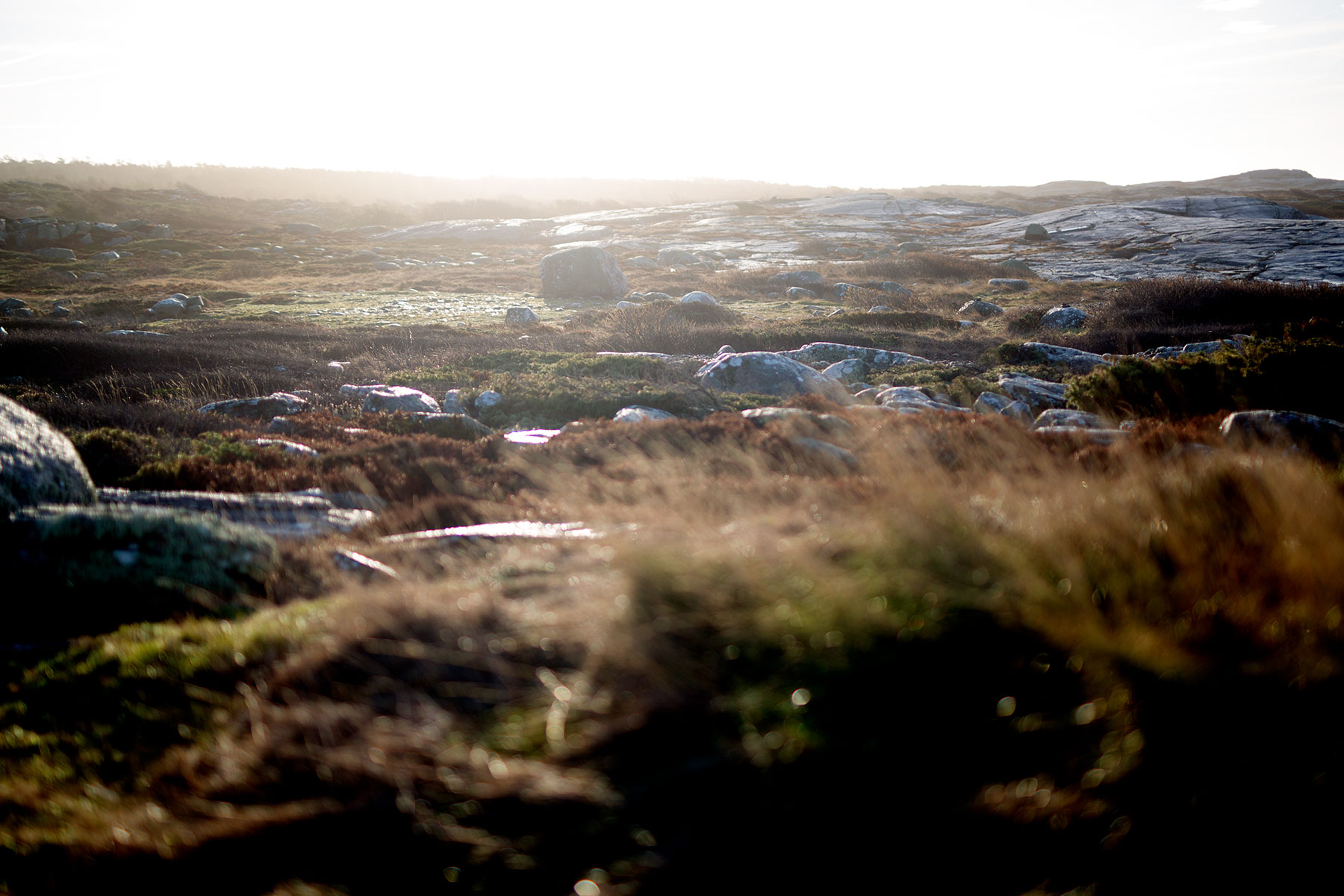 blogg-181227fyrenpromenad16.jpg