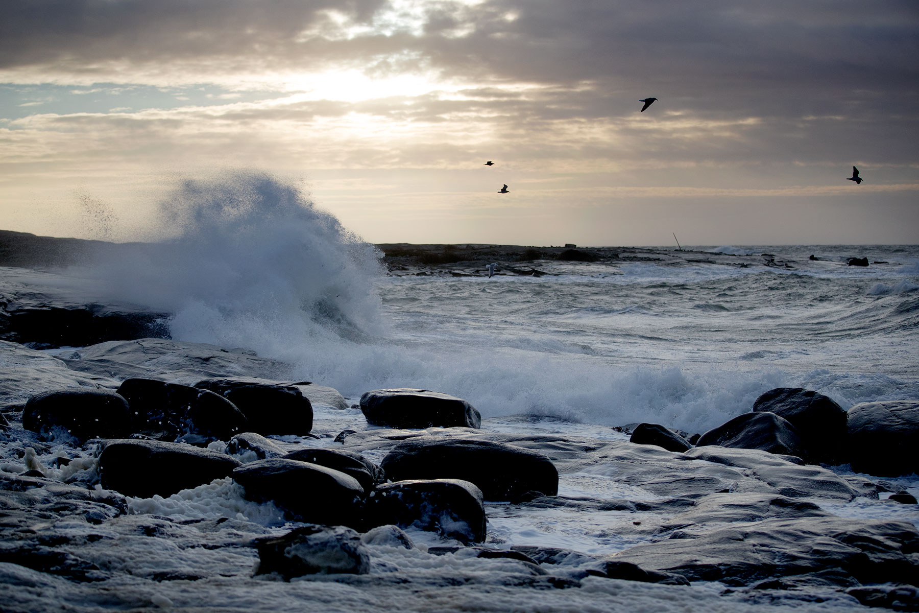blogg-190101stormenalfrida5.jpg