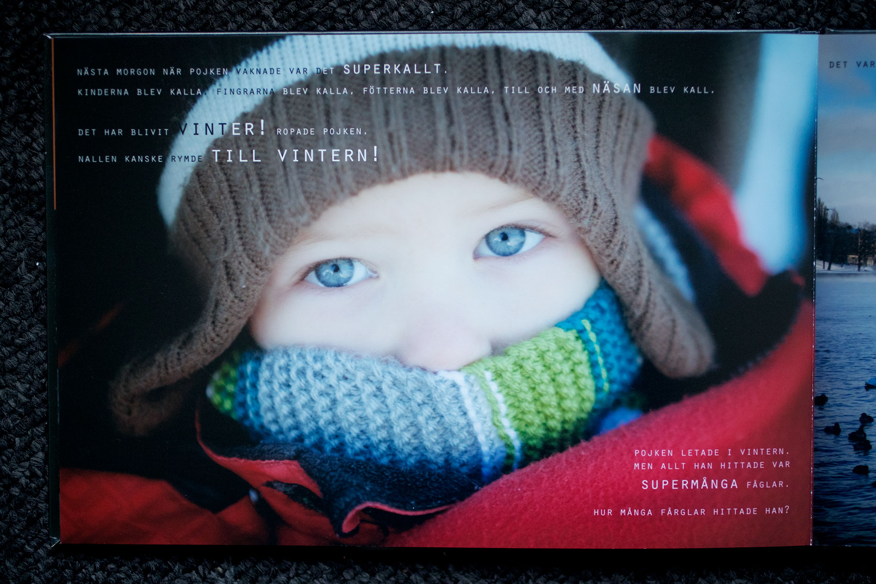 blogg-190101nallenarnesson17.jpg