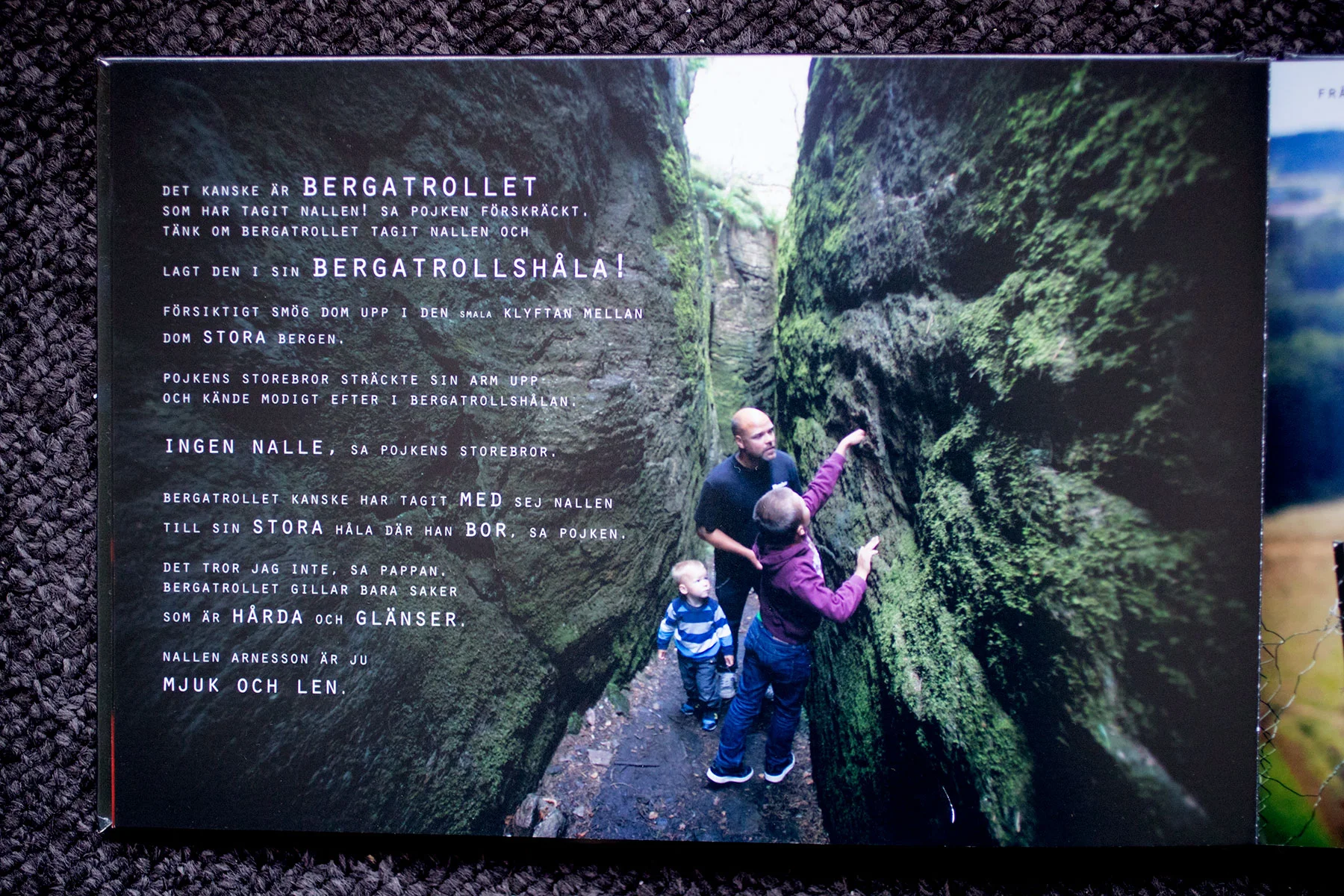 blogg-190101nallenarnesson19.jpg