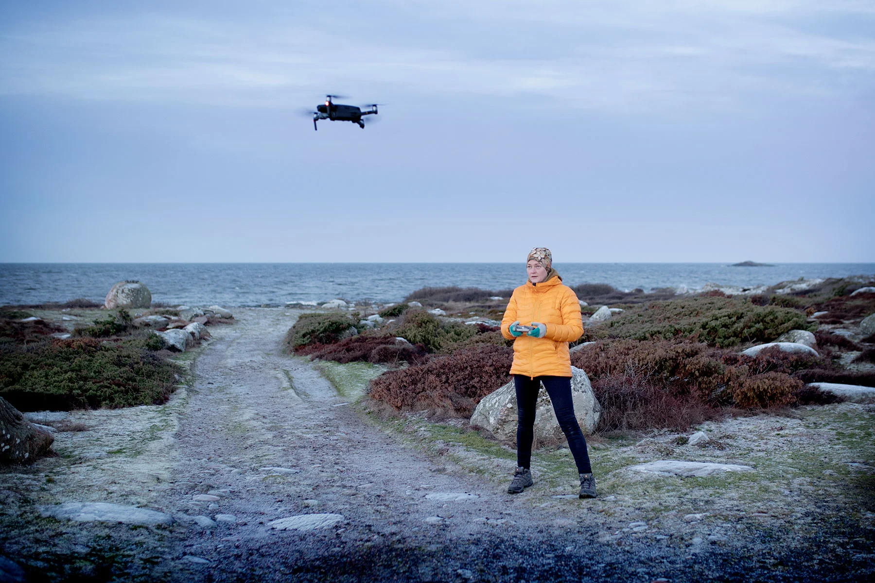 blogg-190112dronarmorgonfyren2.jpg