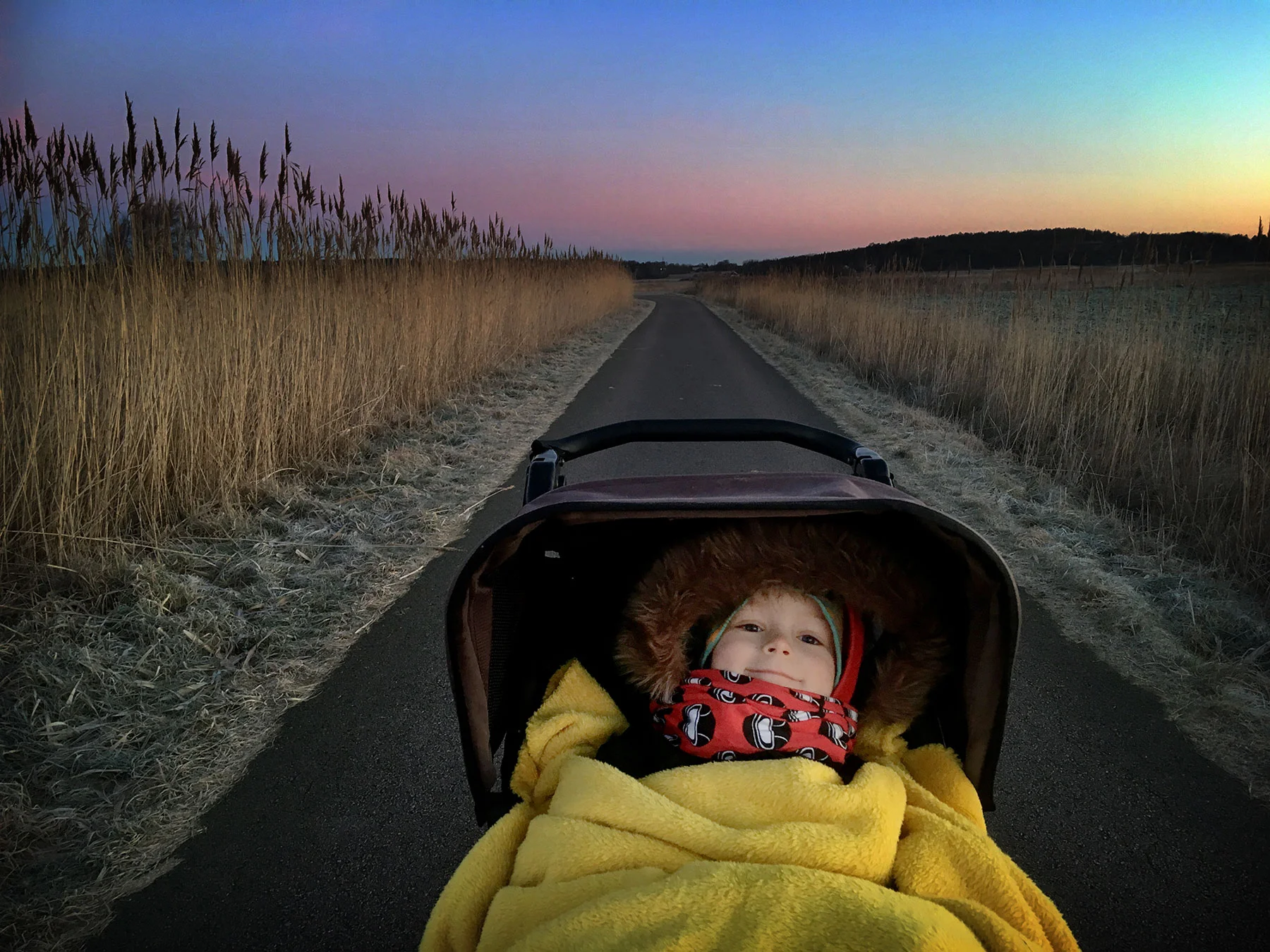 blogg-190118morgonpromenad2.jpg