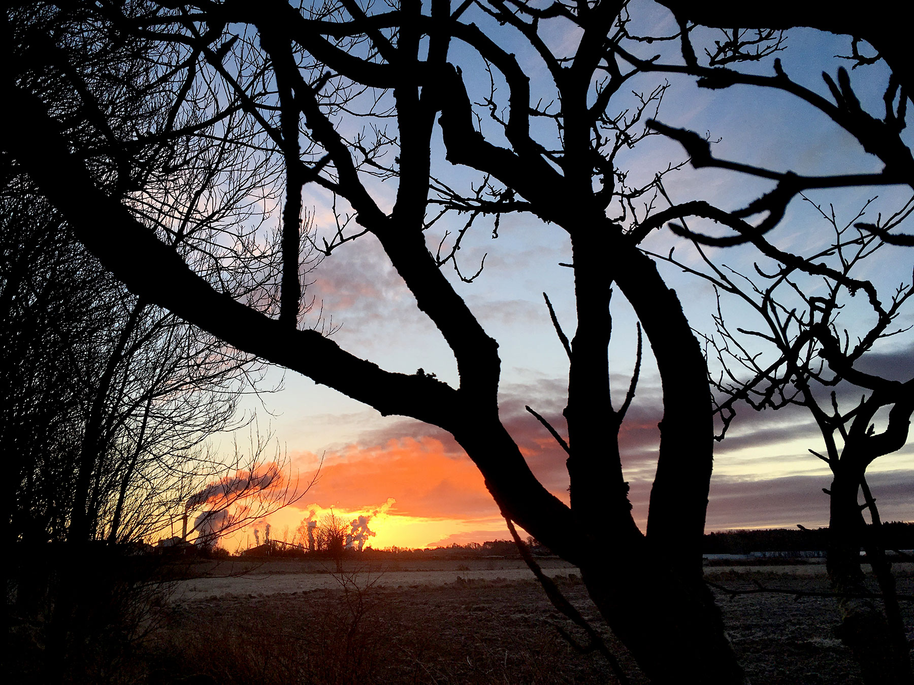 blogg-190118morgonpromenad3.jpg