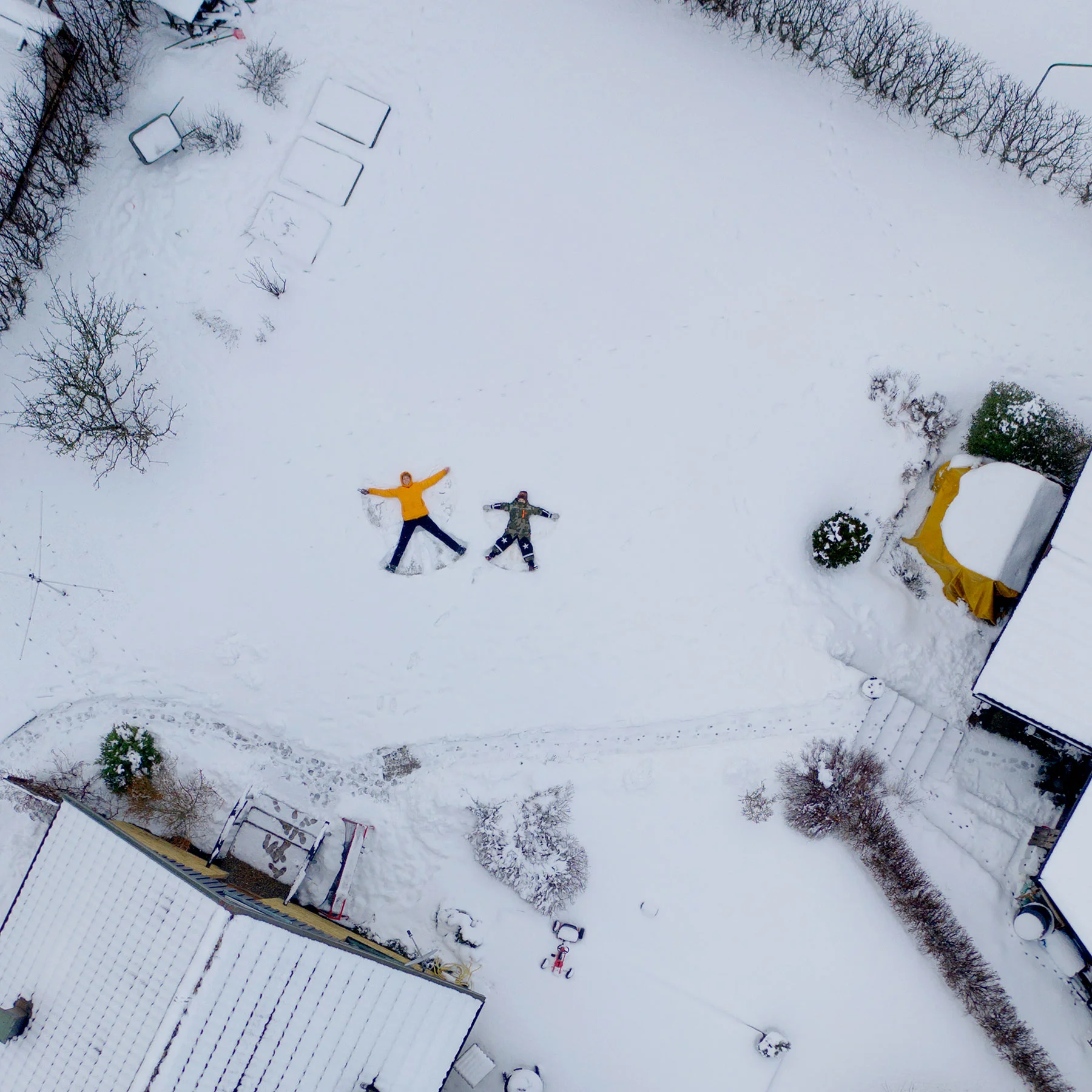 blogg-190128dronarsnoanglar2.jpg