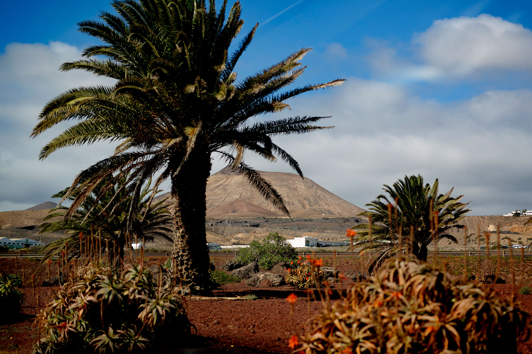 blogg-190201tilllanzarote8.jpg