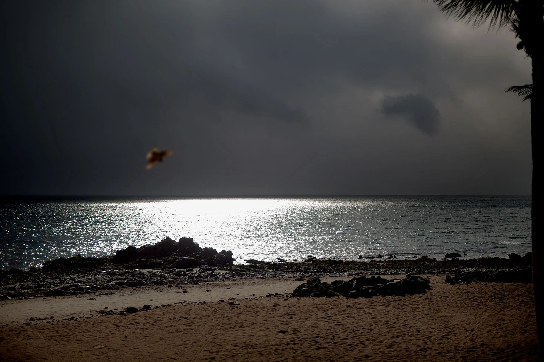 blogg-190201tilllanzarote24.jpg