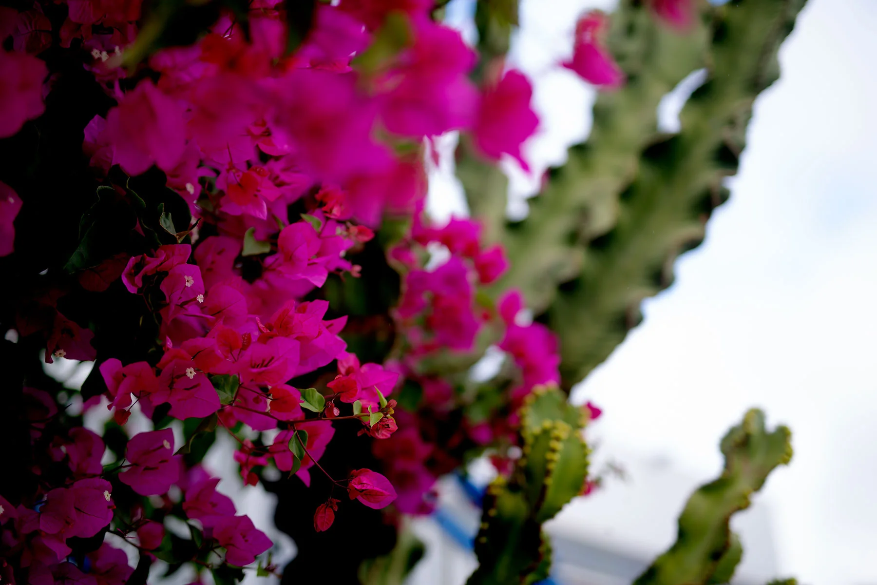 blogg-190201tilllanzarote27.jpg
