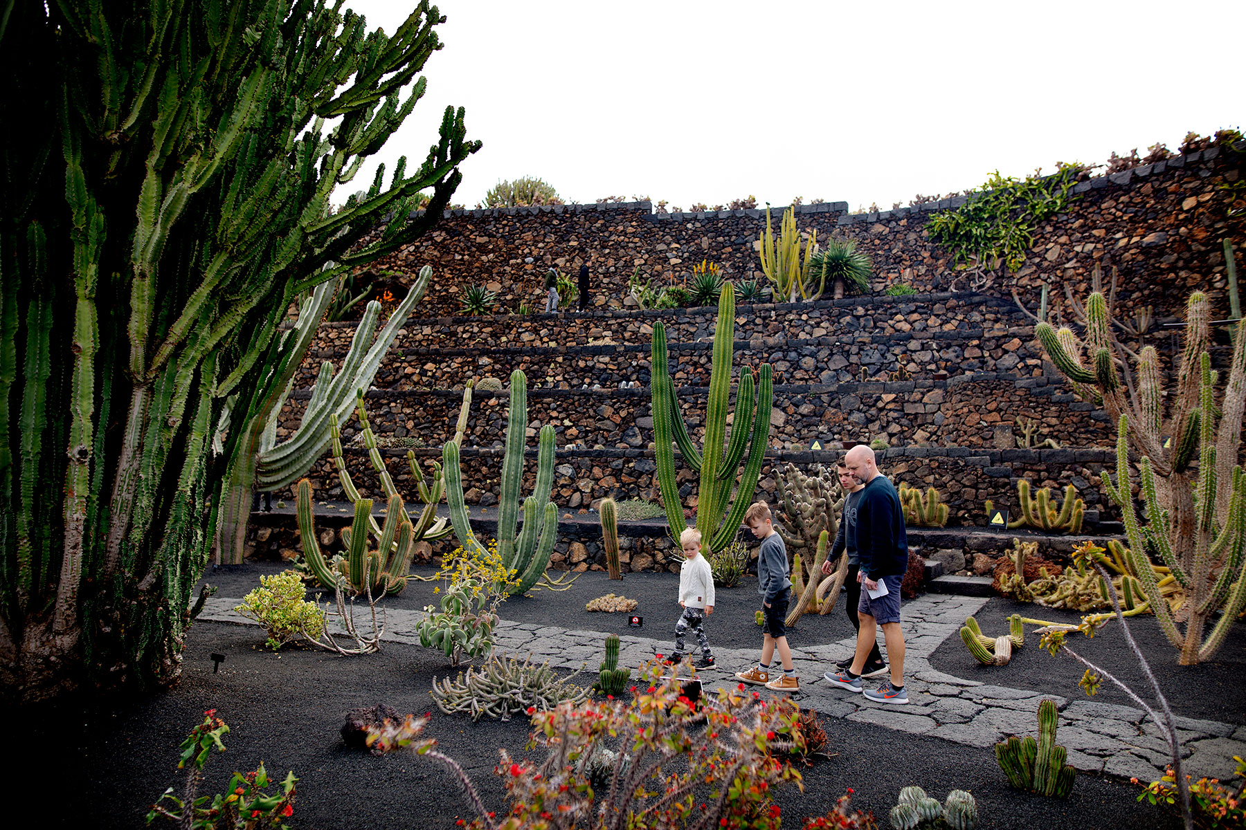blogg-190203jardindecactus3.jpg