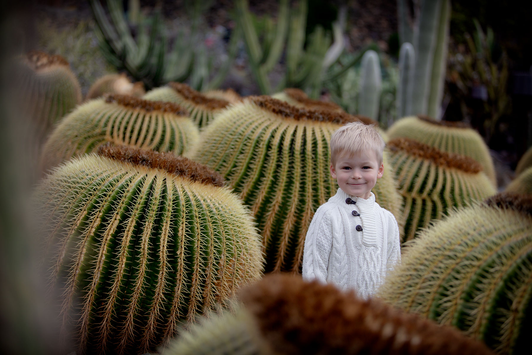 blogg-190203jardindecactus18.jpg