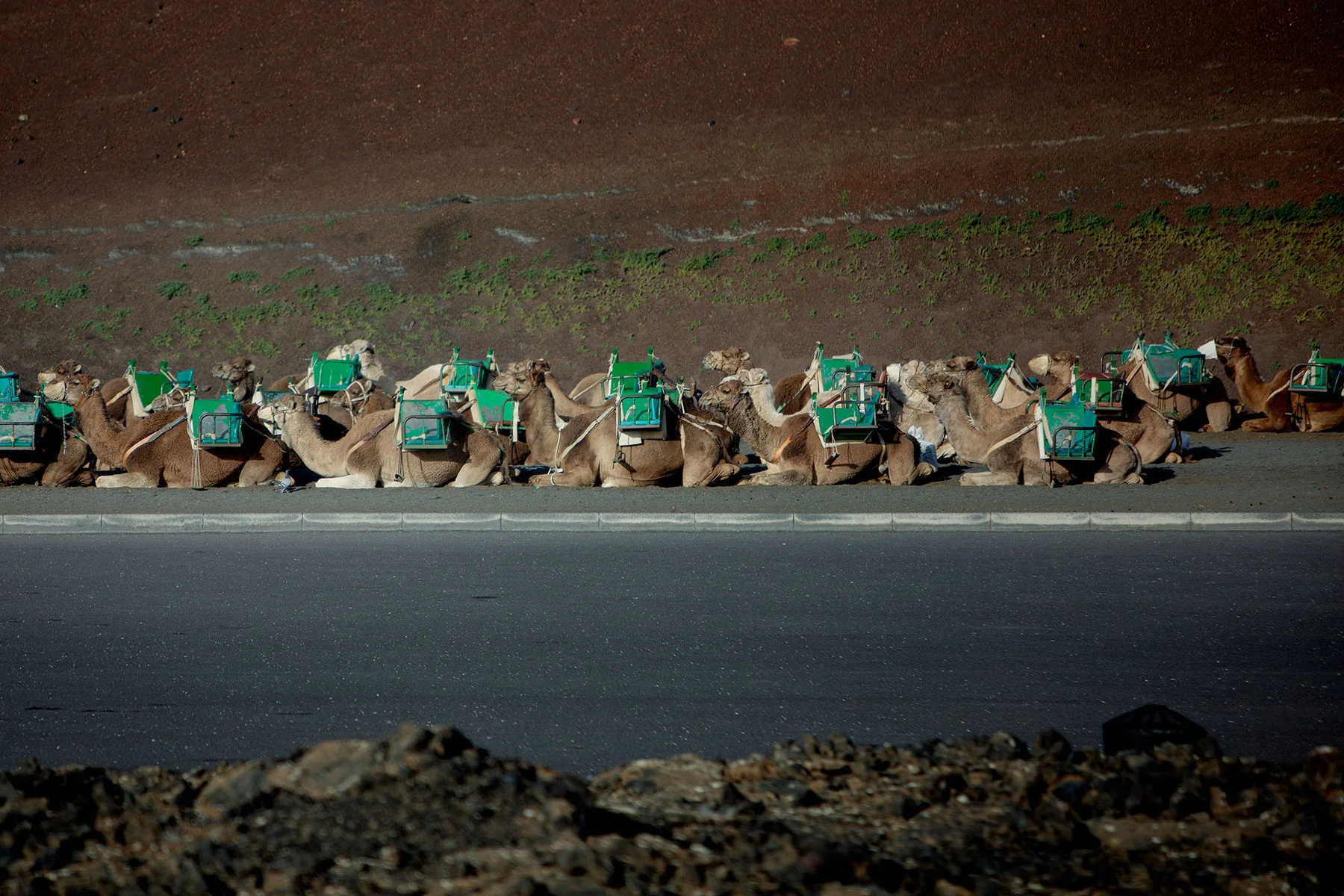 blogg-190206timanfaya4.jpg